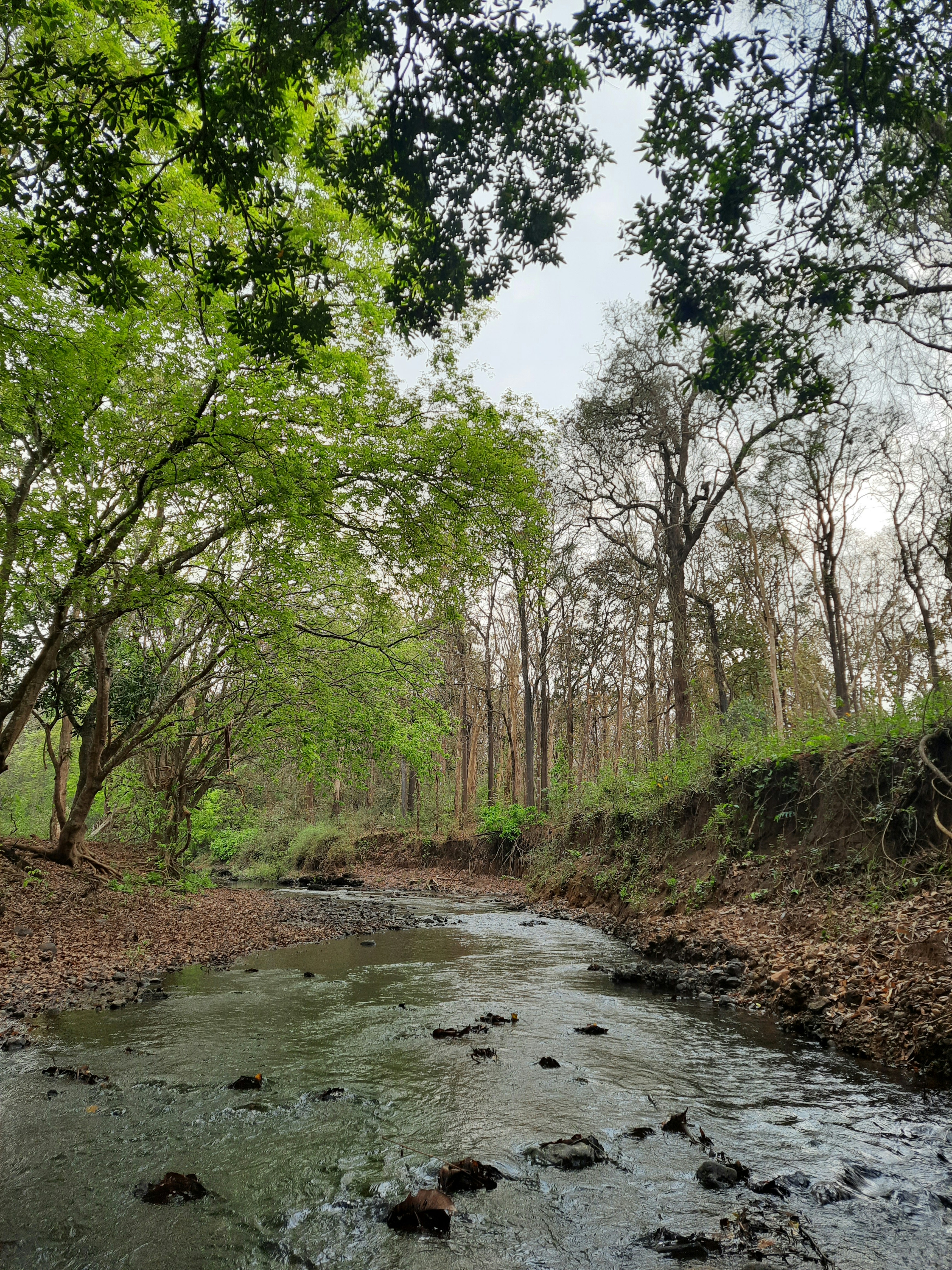 Photo by charmquark_8