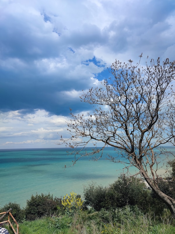 What to see in Ruvo di Puglia: A Travel Guide