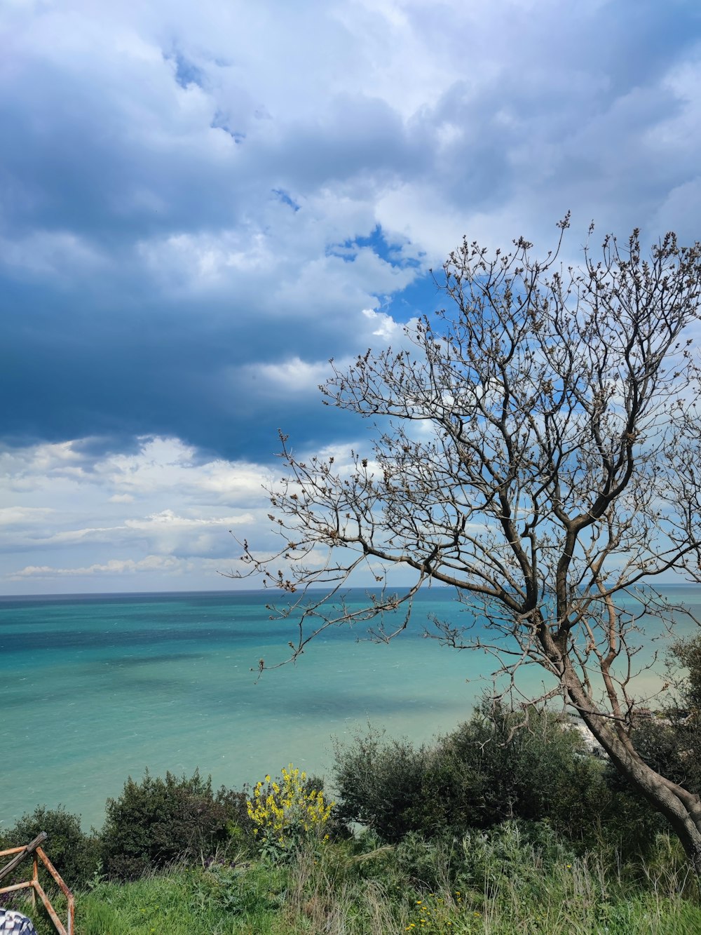 a tree with birds flying over a body of water