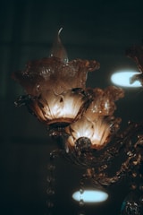 An intricate chandelier with elaborate, translucent glass lamps resembling floral shapes. The fixture is ornate with winding, detailed metal work, and it emits a warm, soft light that gives a vintage ambiance.