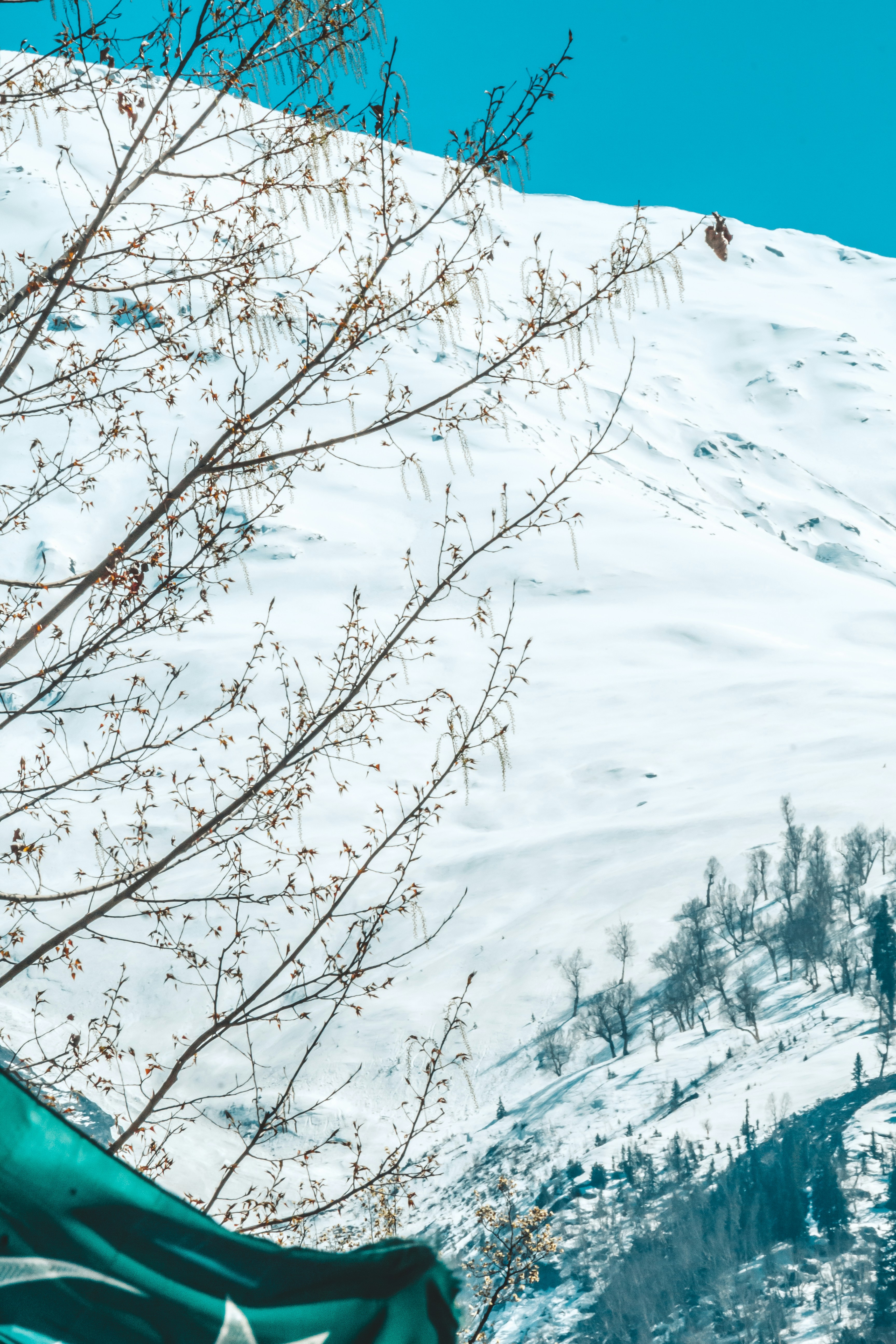 Photo by beingfarooq247365