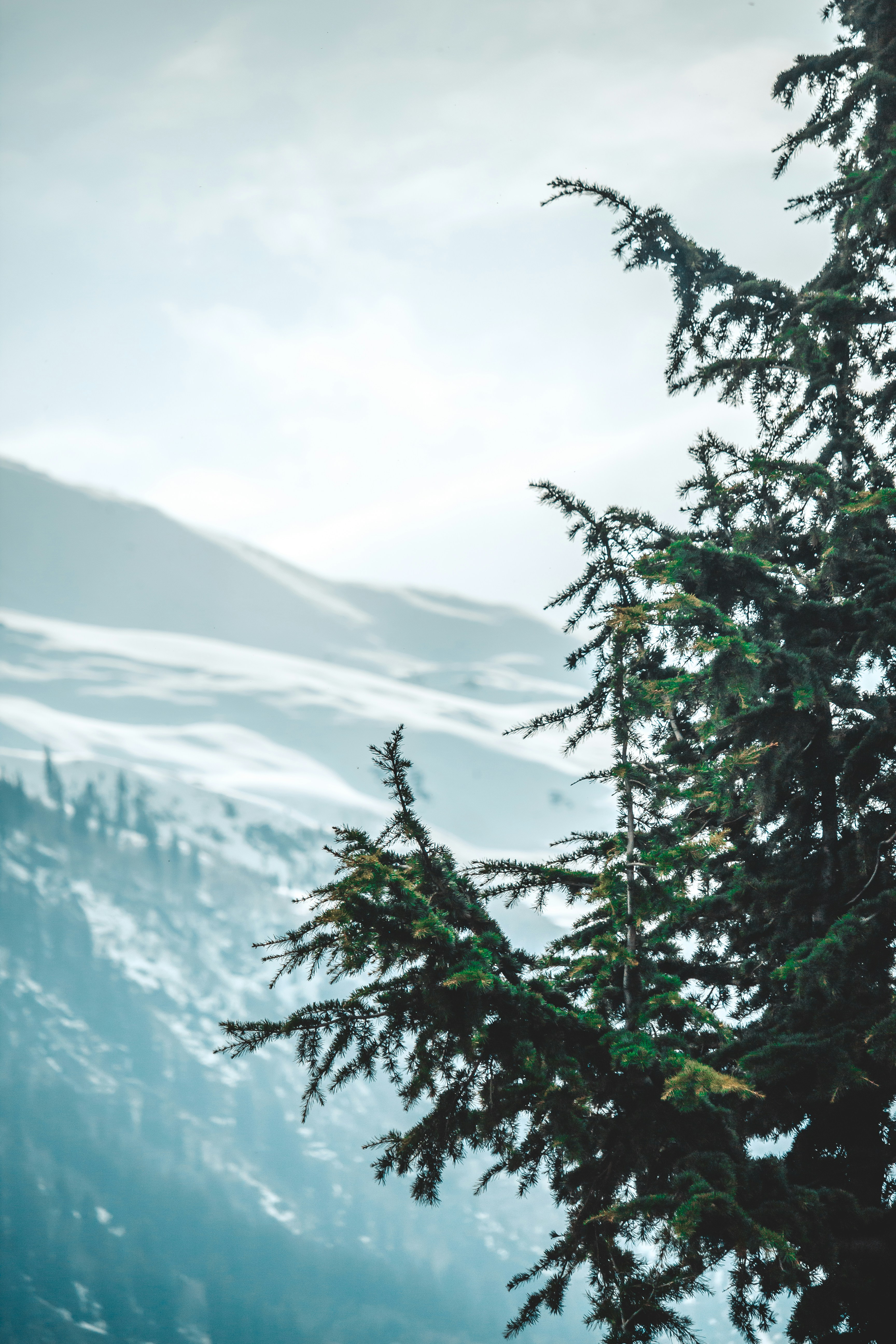 Photo by beingfarooq247365