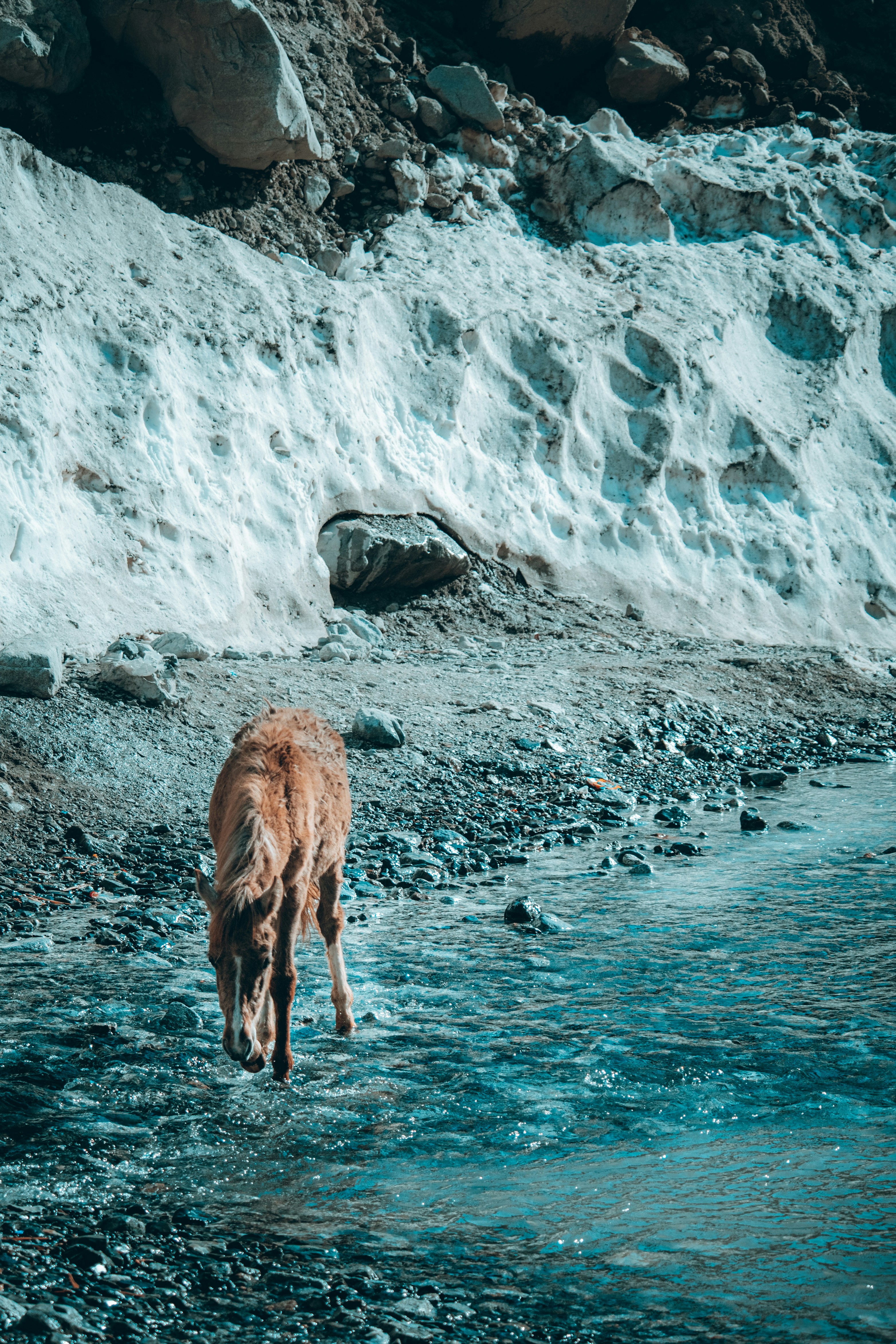 Photo by beingfarooq247365