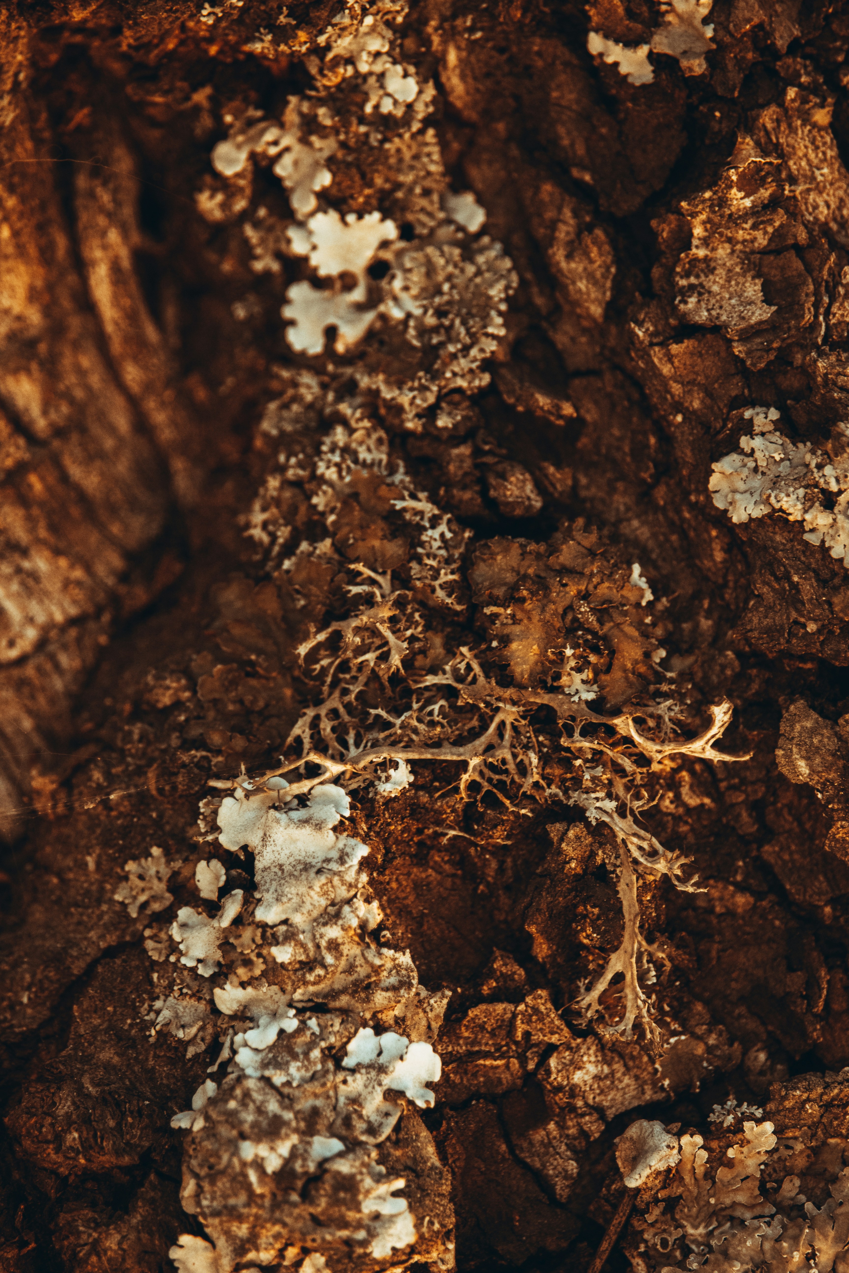 Photo by beingfarooq247365