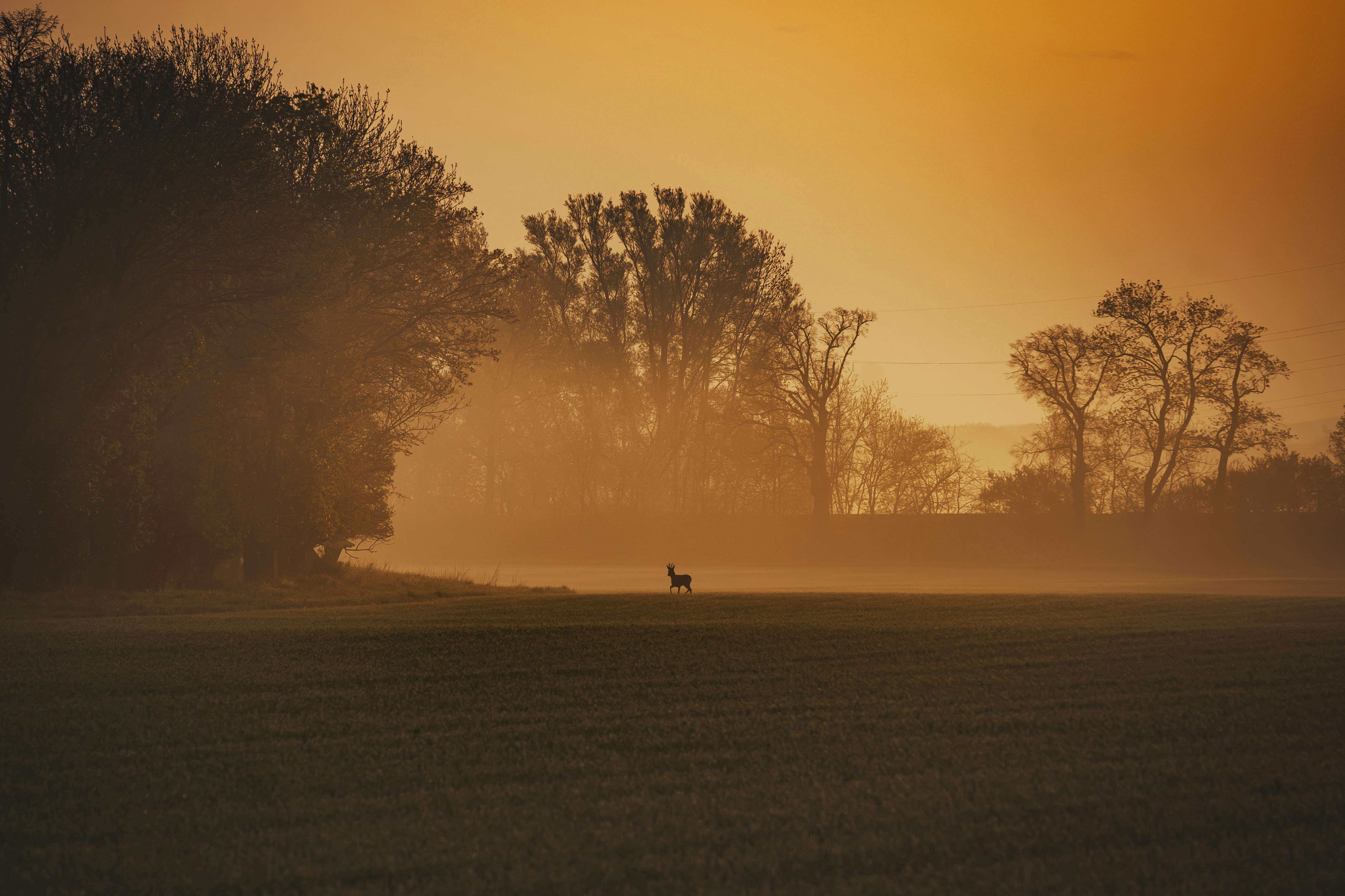 a person walking in a field