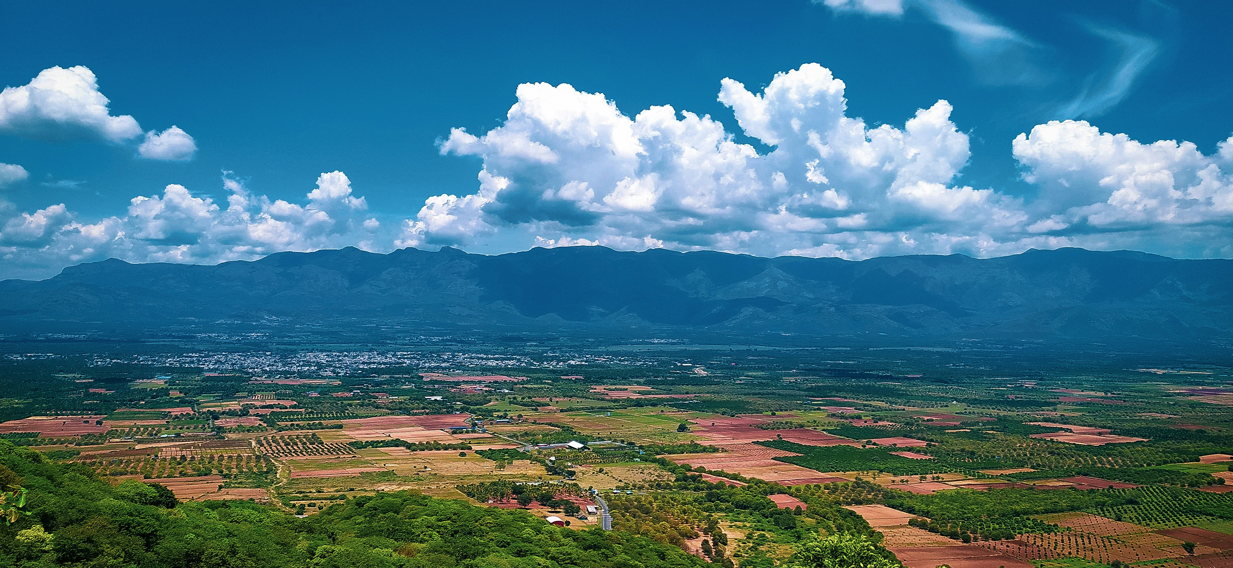 Photo by emmanual_jose