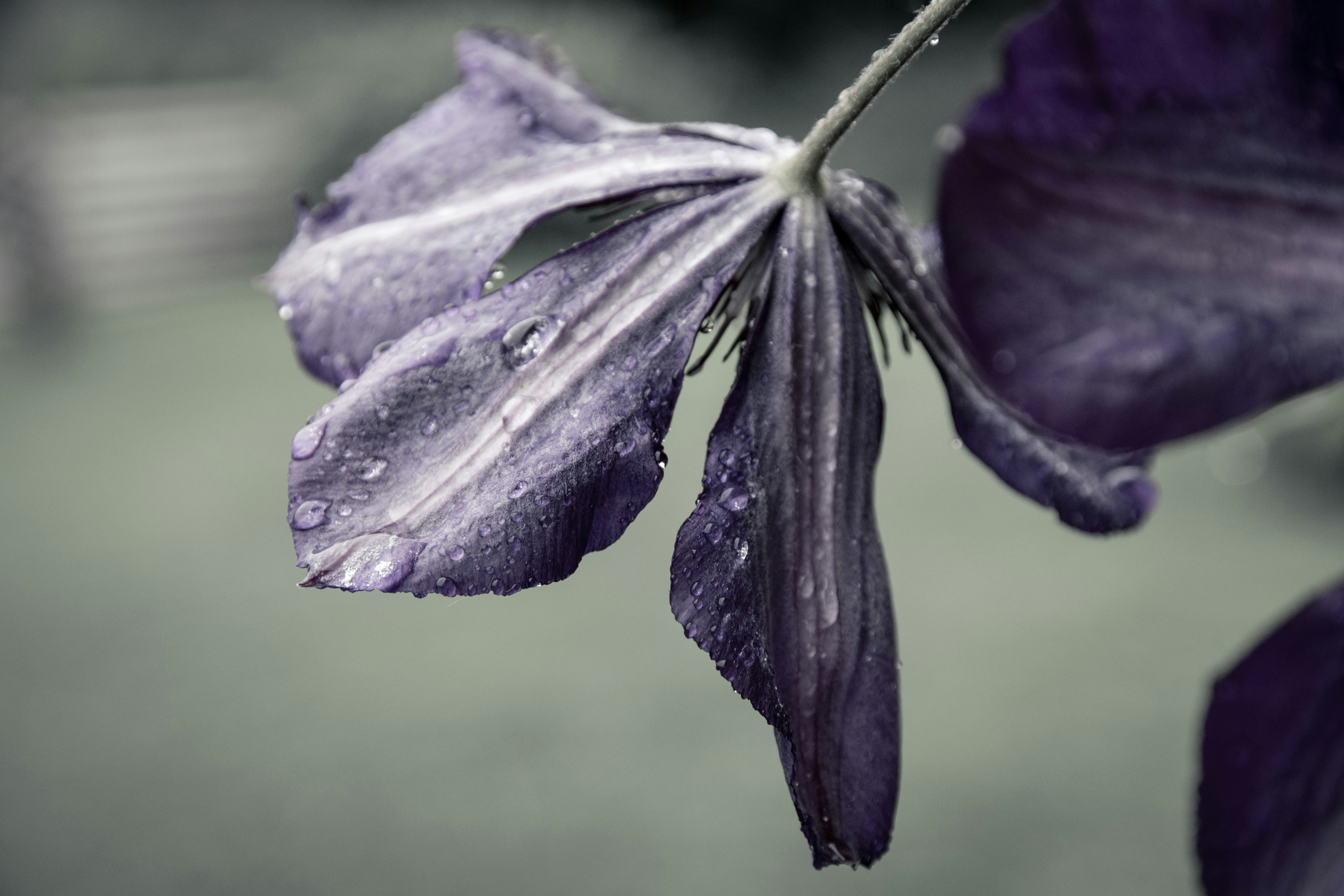 Photo by fannygustafsson