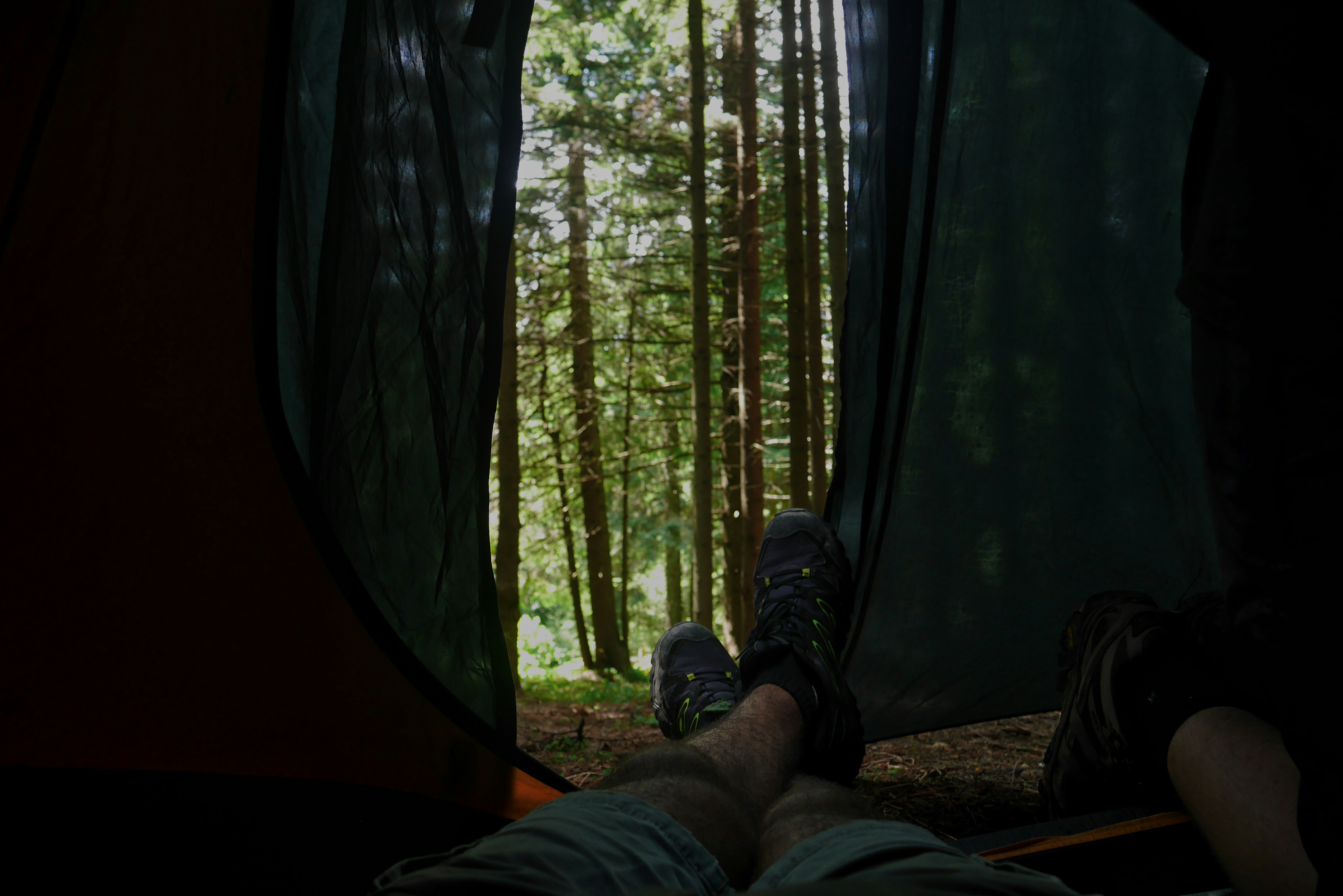 Photo by mykytashamota