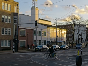 a person riding a bicycle on a street with cars and buildings