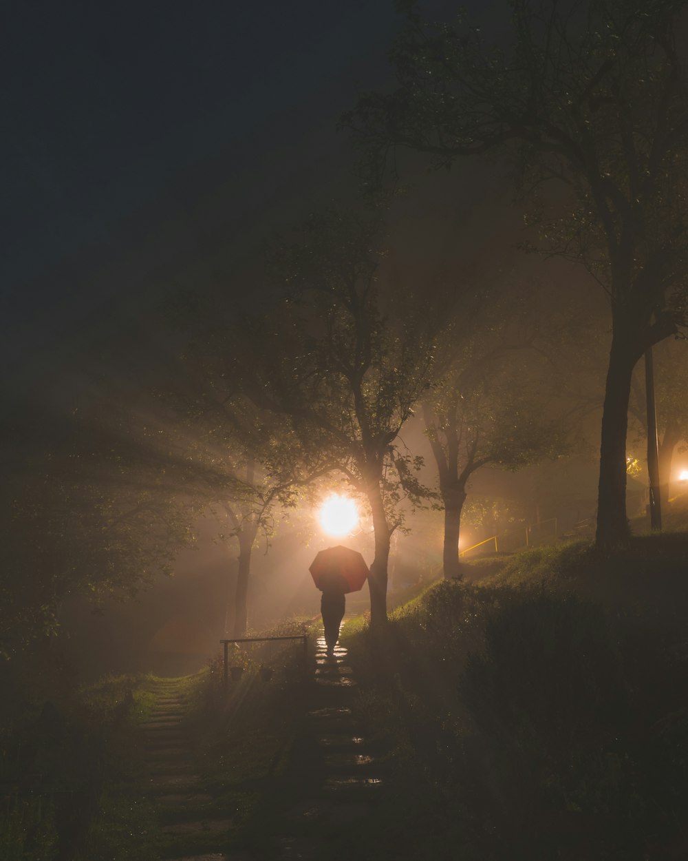 a person walking down a path with an umbrella