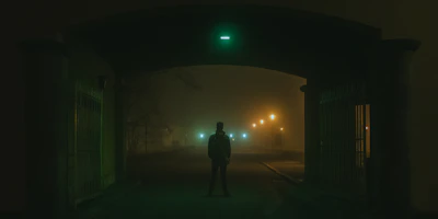 A shadowy figure of Livy Emanuelle standing on a foggy cobblestone street, with a glowing temporal portal behind her.