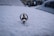 A car hood covered in snow with a metallic emblem emerging from the snow layer. The detailed close-up focuses on the emblem while the background appears blurred, showing vague outlines of additional snow-covered cars and possibly buildings.