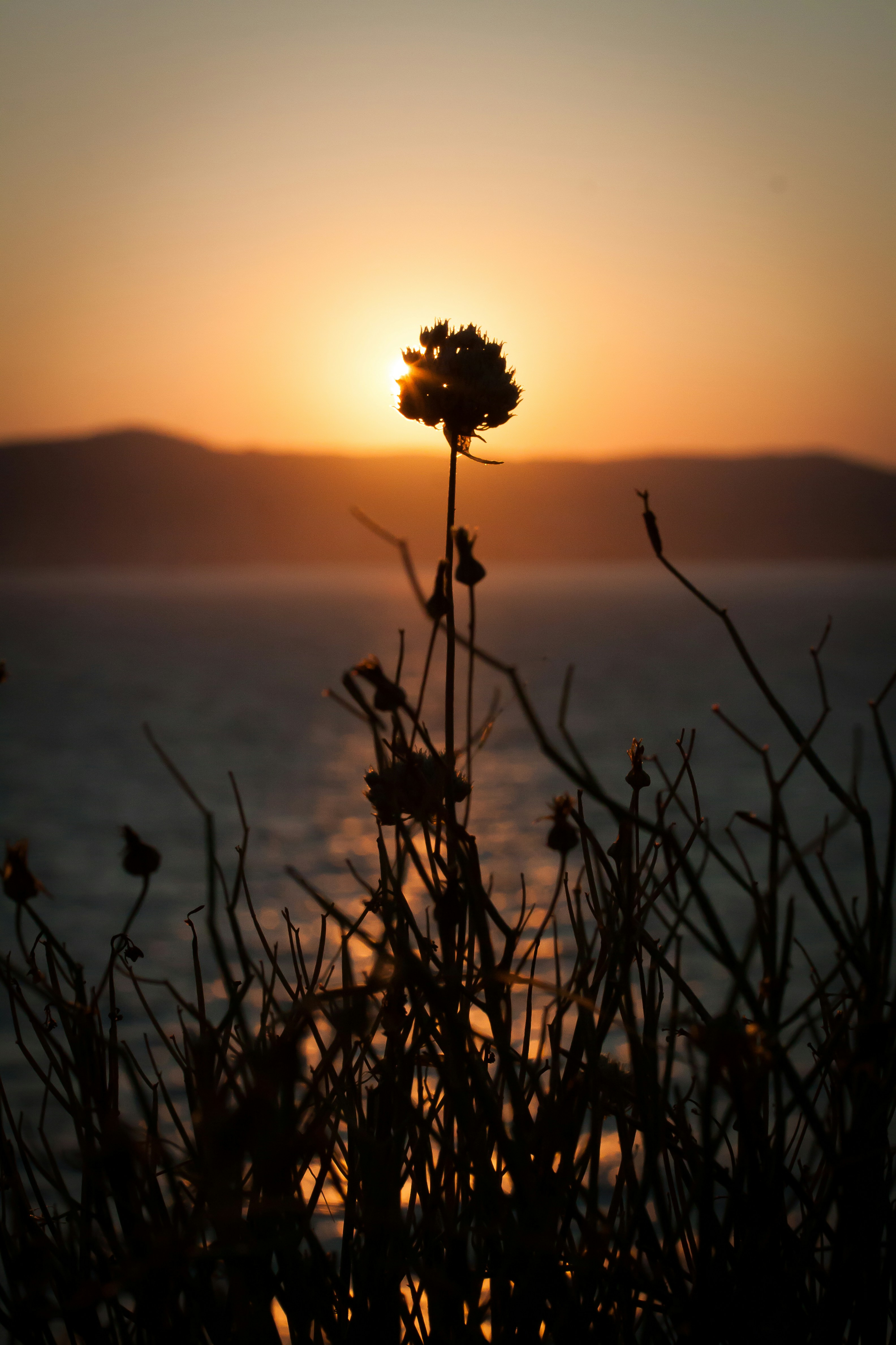 Photo by docmasky