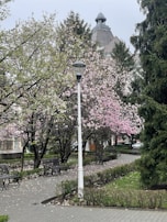 A peaceful park with blooming flowers and benches under tall trees.