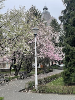 A peaceful park with blooming flowers and benches under tall trees.