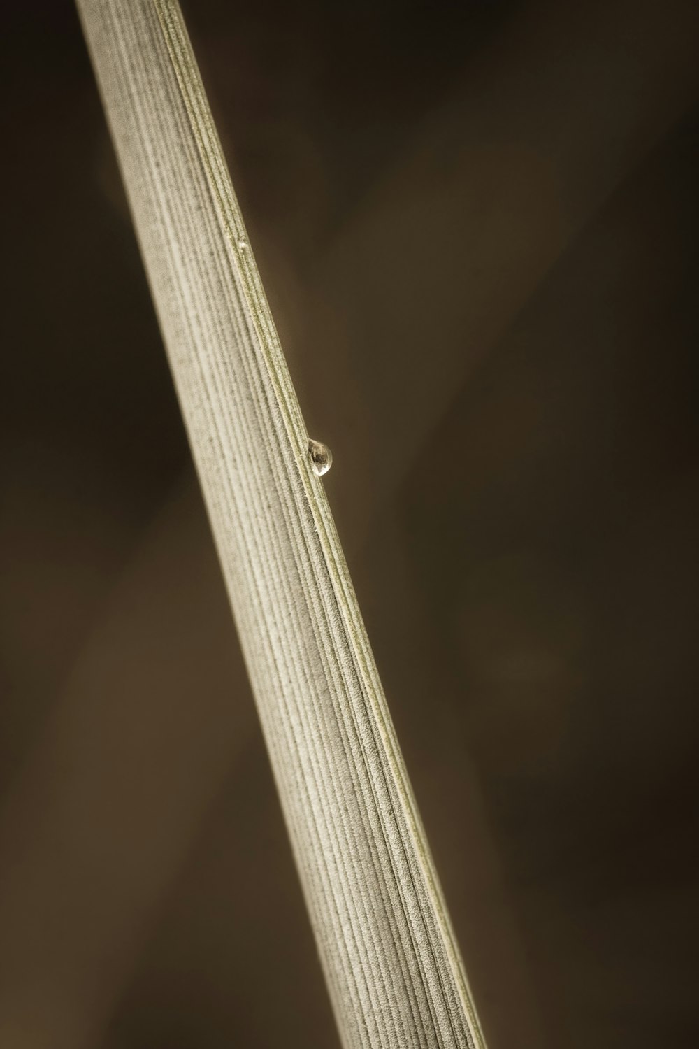 a close up of a blade