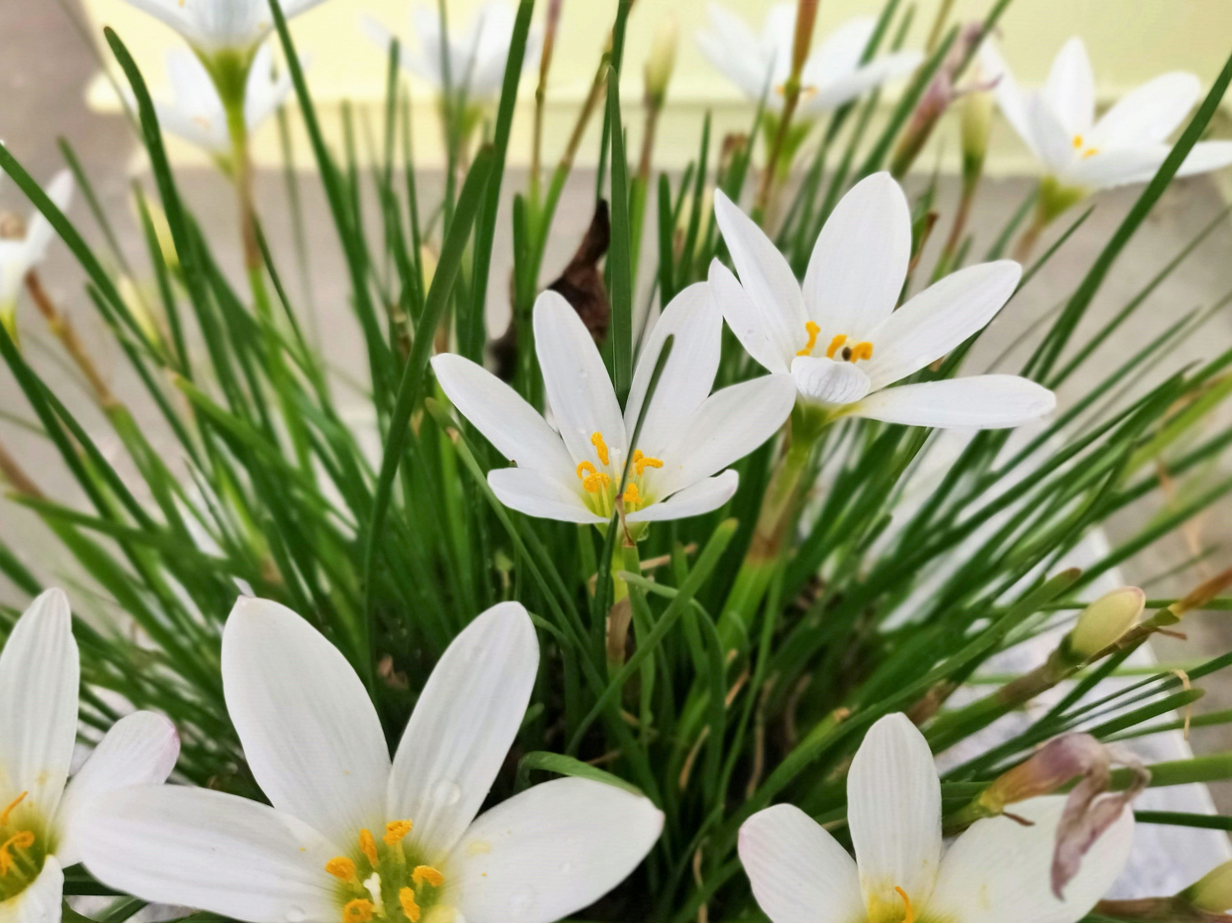 Photo by aphrodite_13