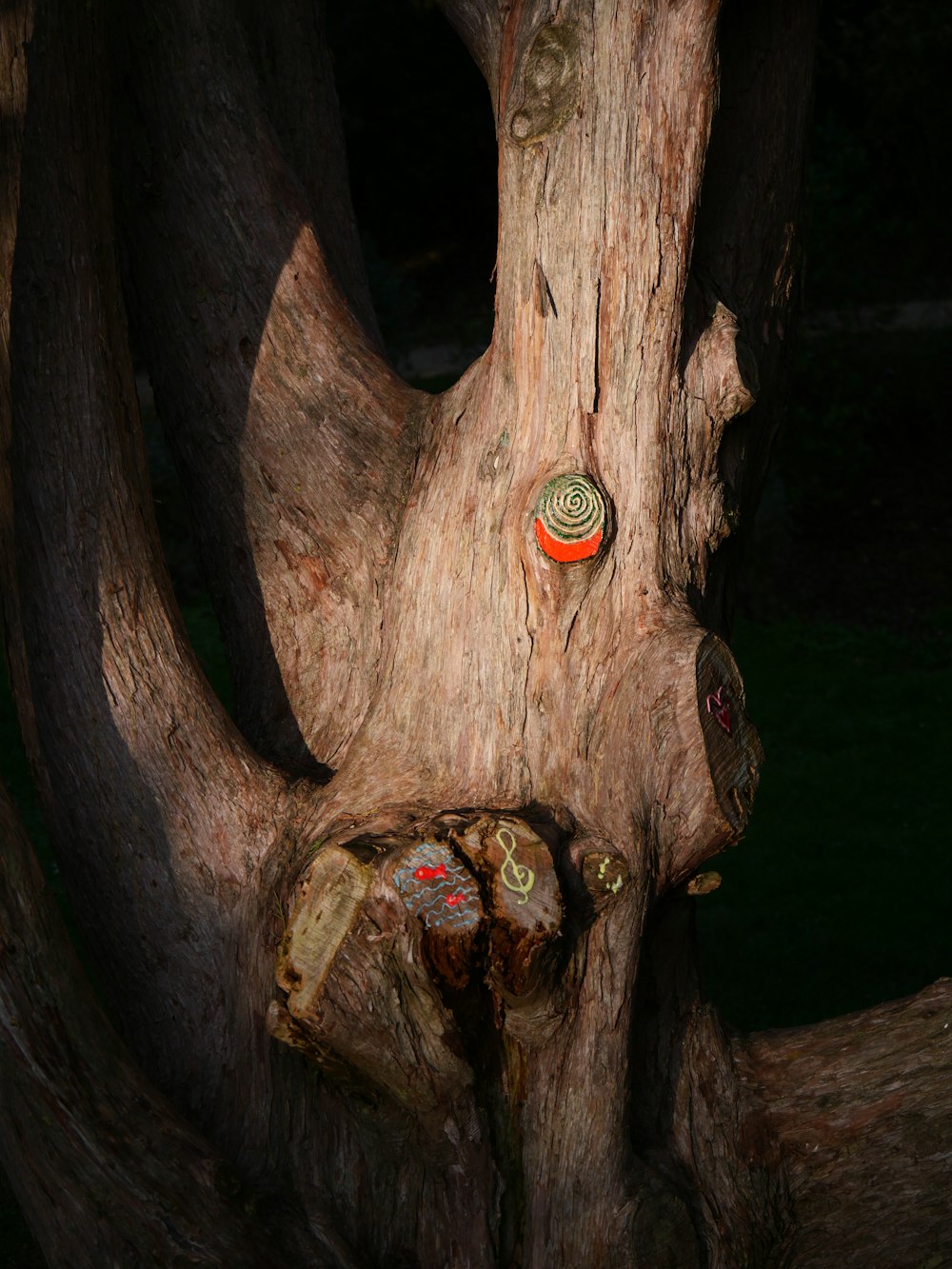 a tree trunk with stickers on it