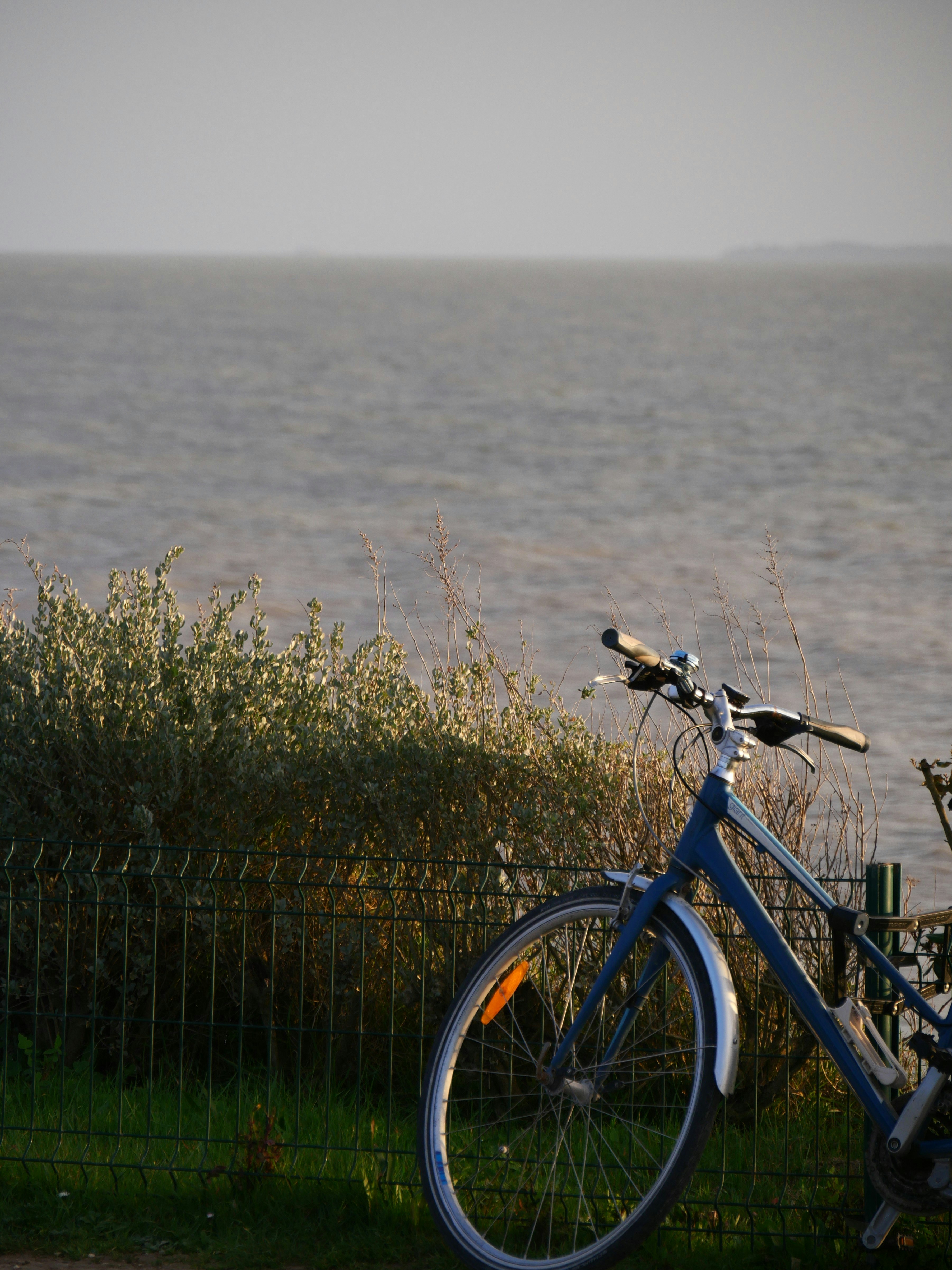 Photo by nimbus_vulpis