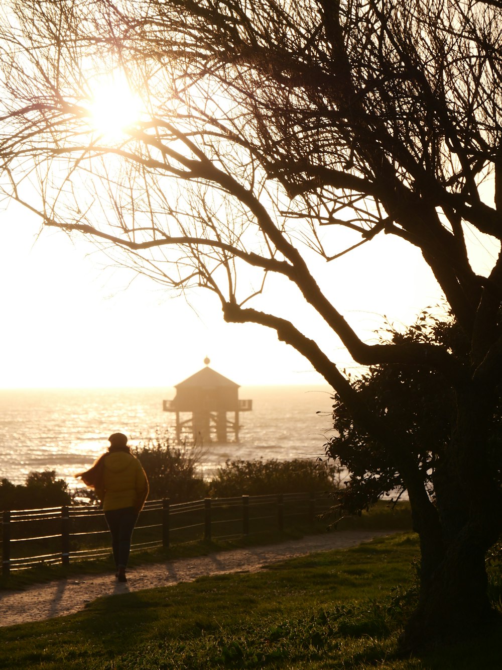 a person walking on a path by a body of water