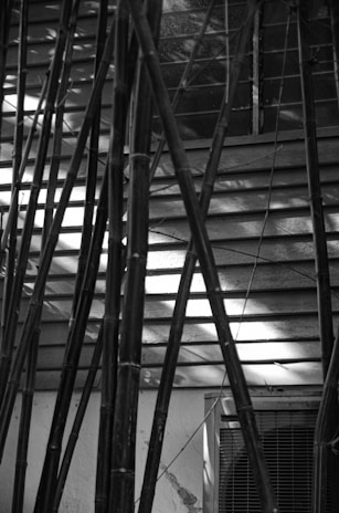 Rows of bamboo poles stand in front of a building wall, with horizontal siding and a window featuring metal bars. The play of light and shadow creates an intricate pattern on the surface.