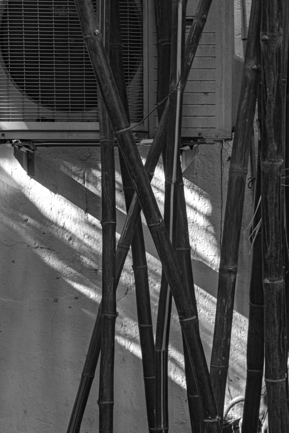 난간이있는 다리의 흑백 사진