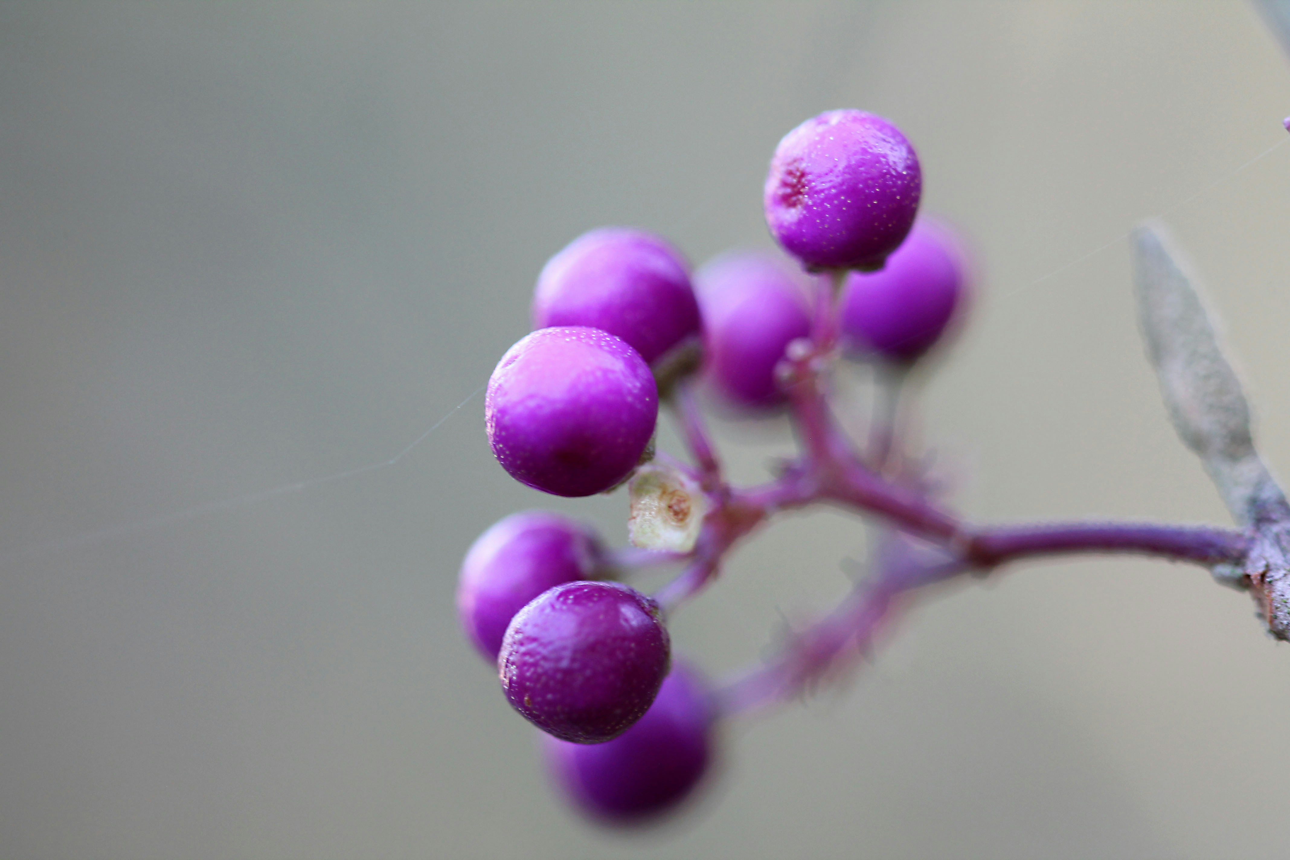 Photo by ninahanfeld