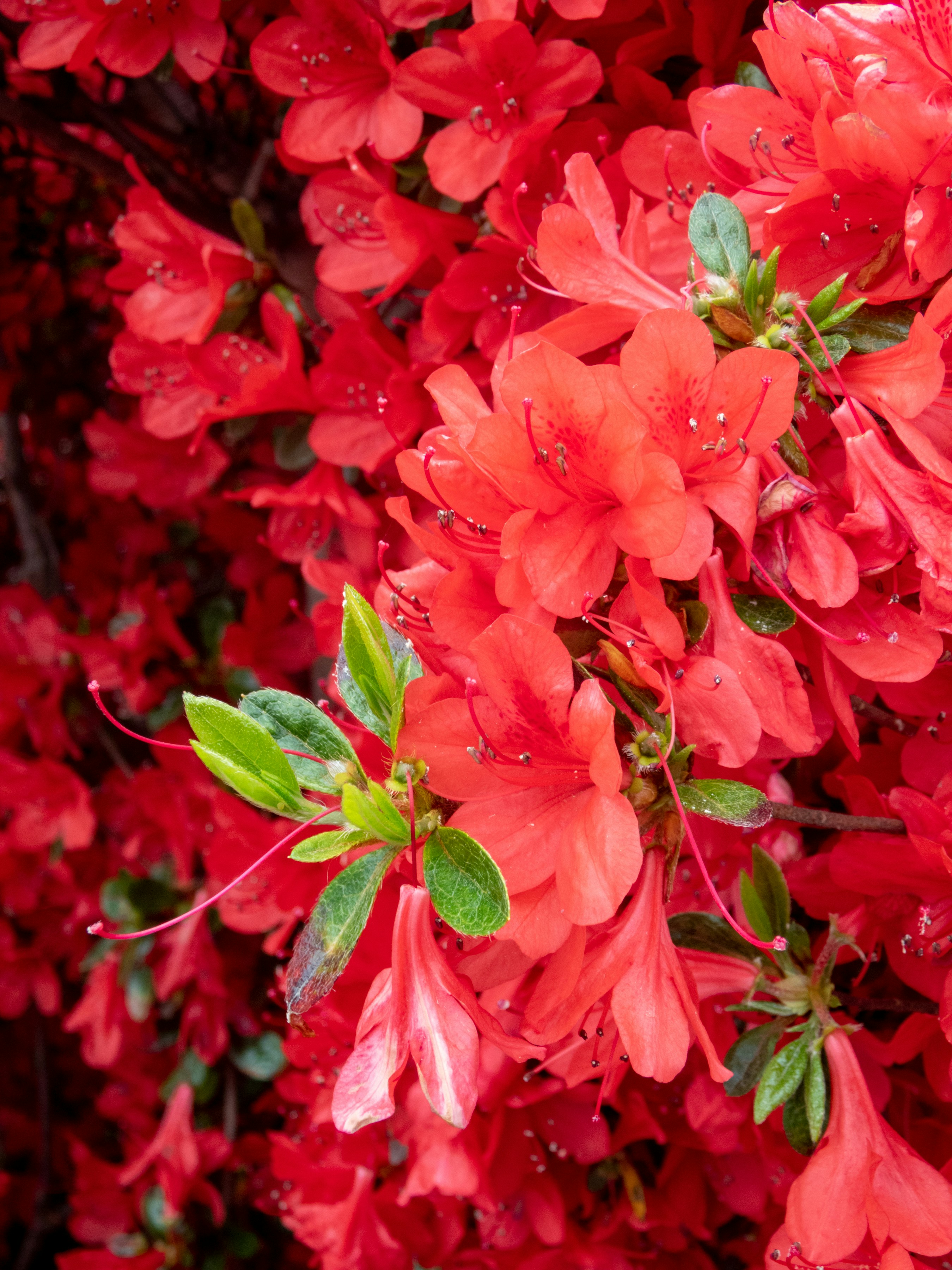 Photo by heppoko_yama