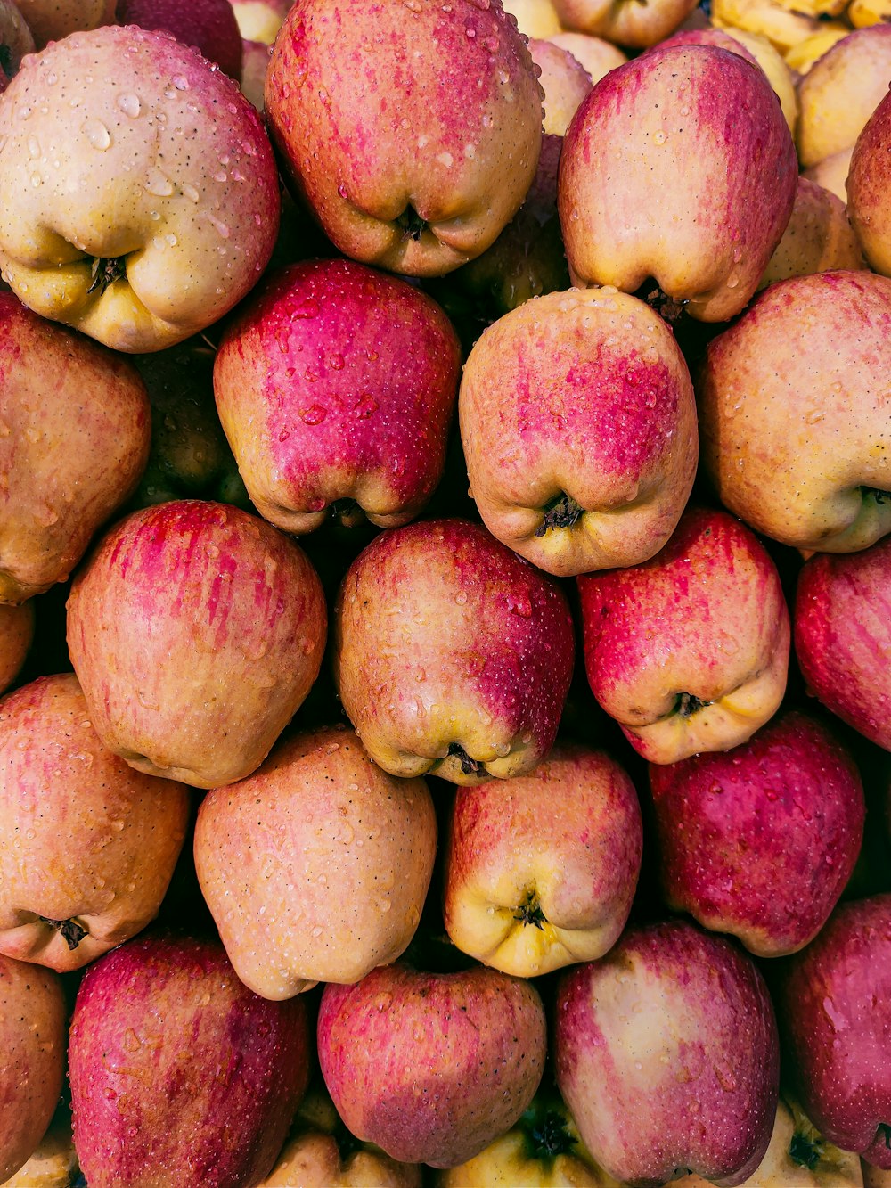 a pile of red apples