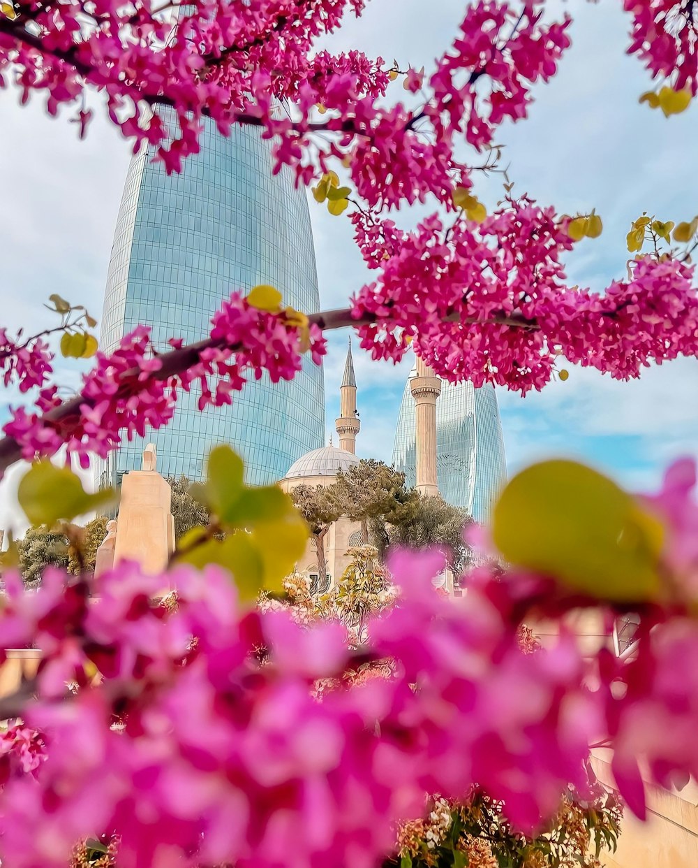 a group of pink flowers with a building in the background