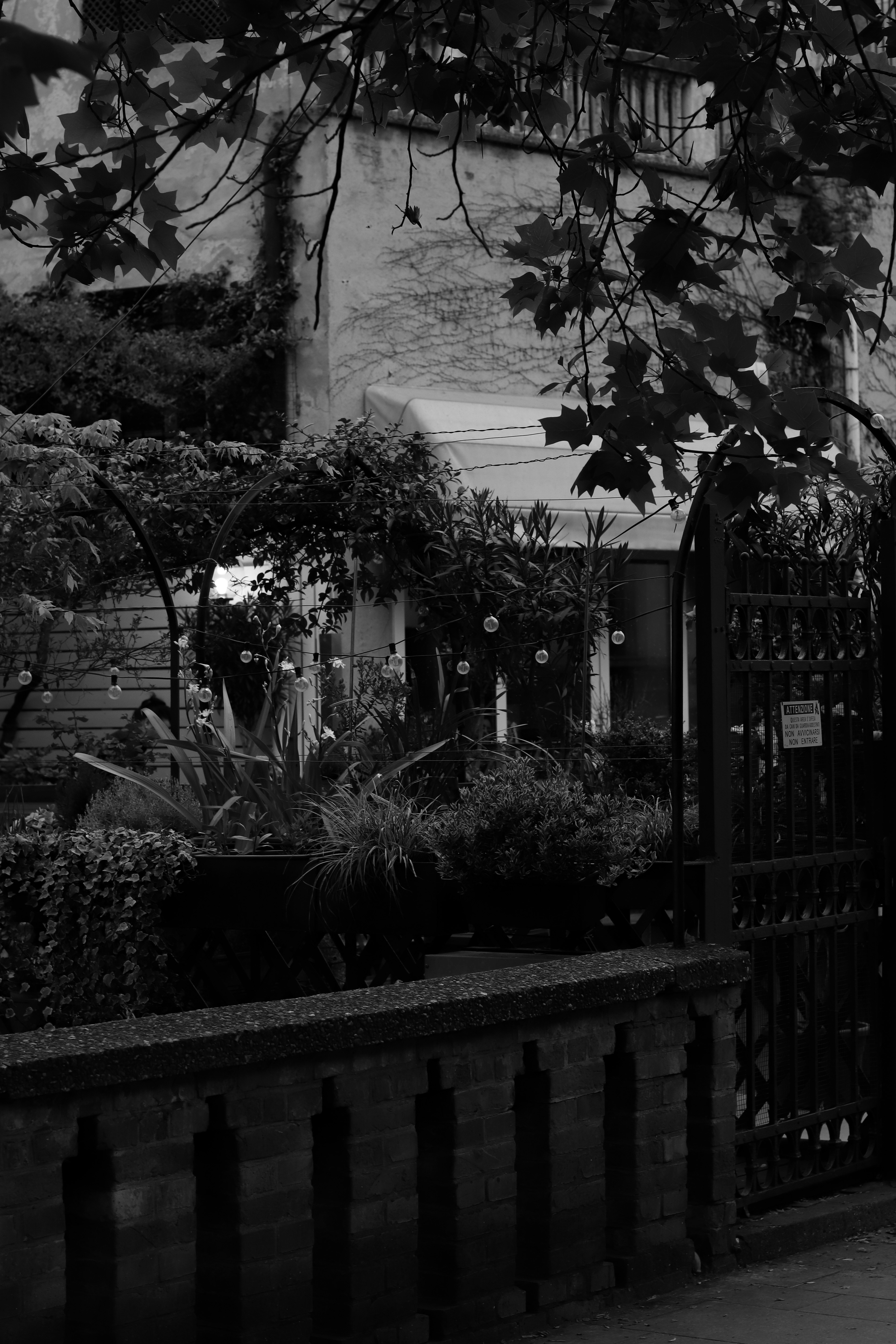 Photo by riccardofarinazzo