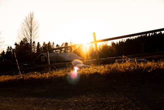 Sunlight casting warm tones over a rugged denim jacket draped on a barn fence