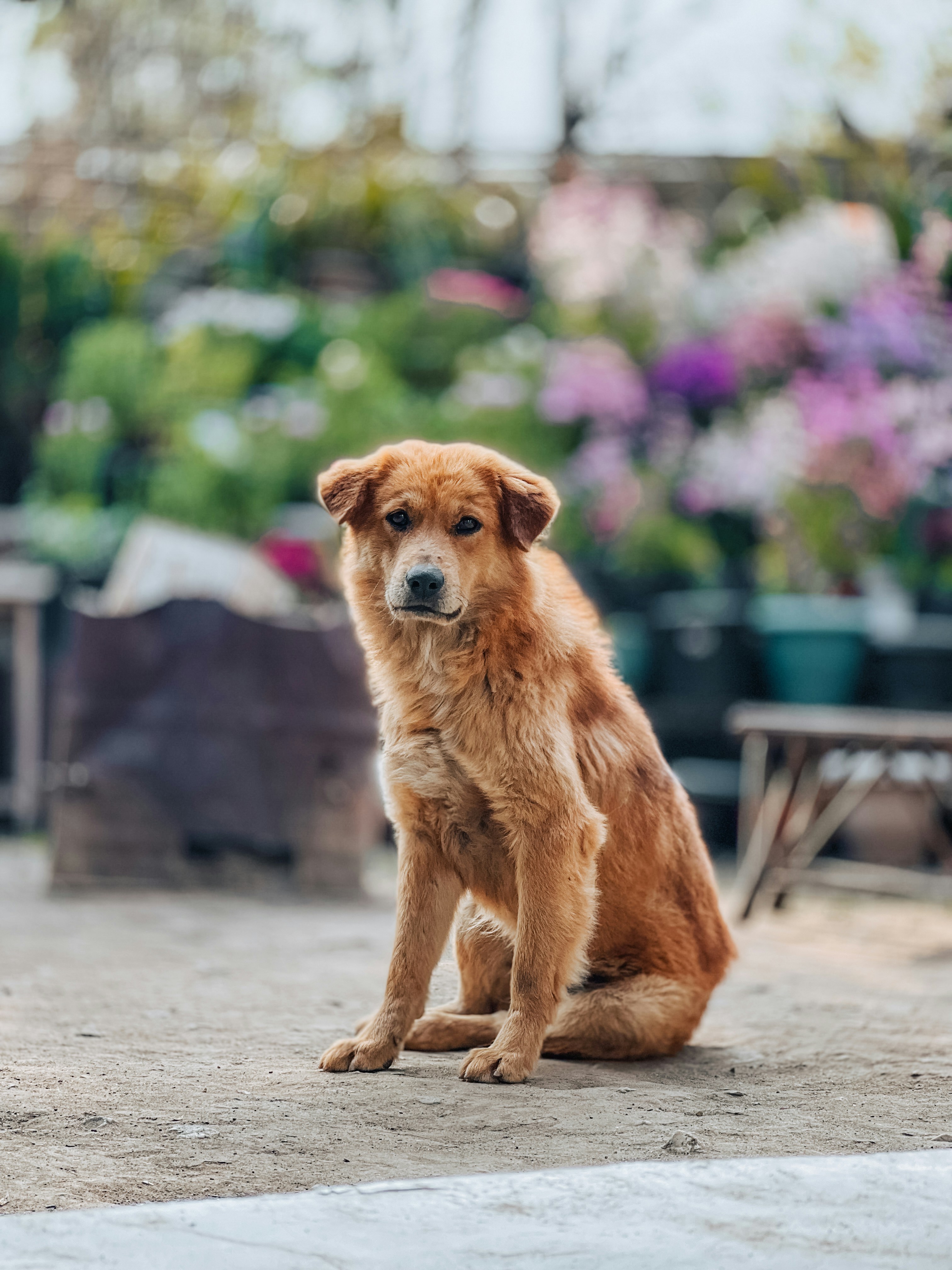 Photo by keronix_raze