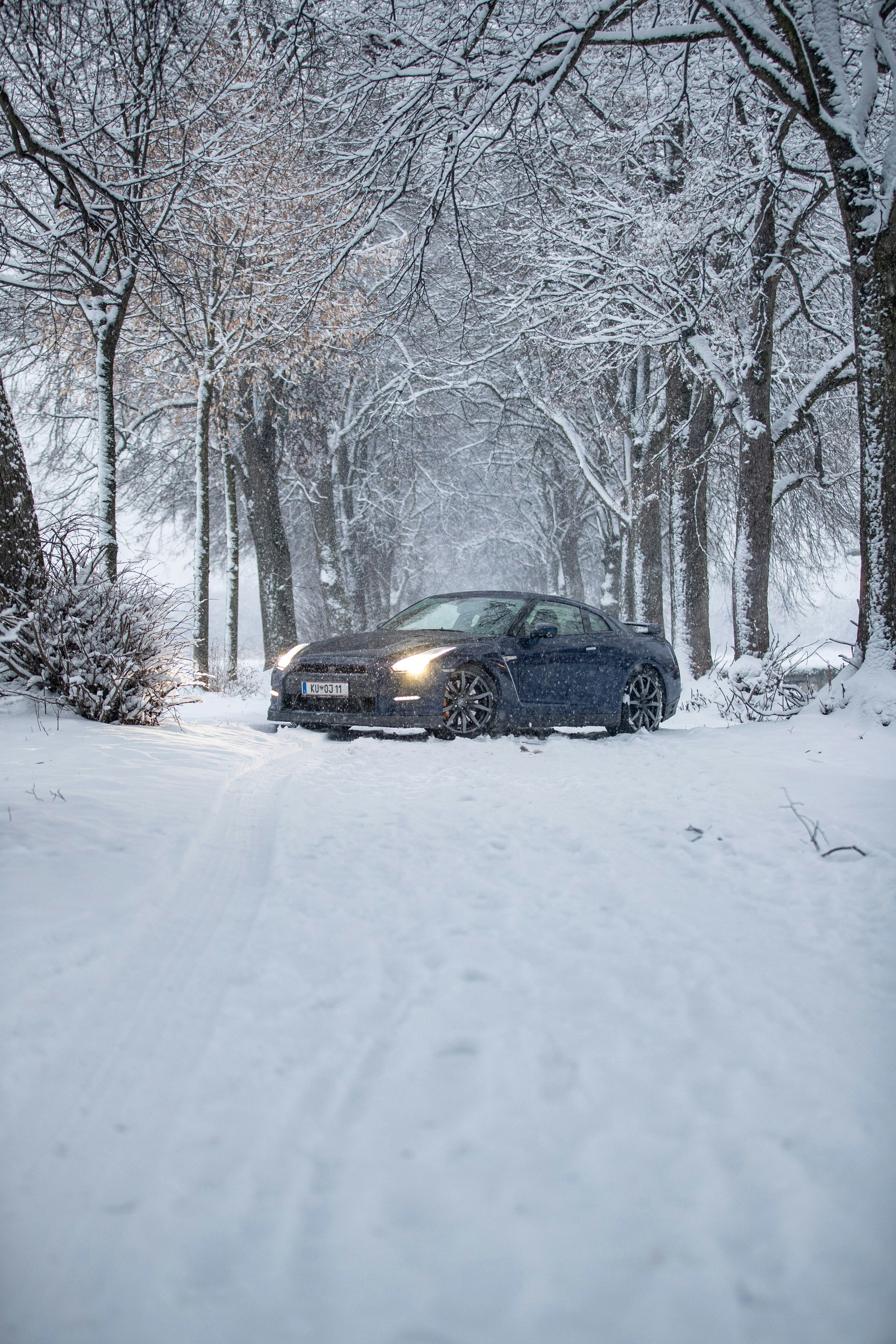 Photo by paul_steiner