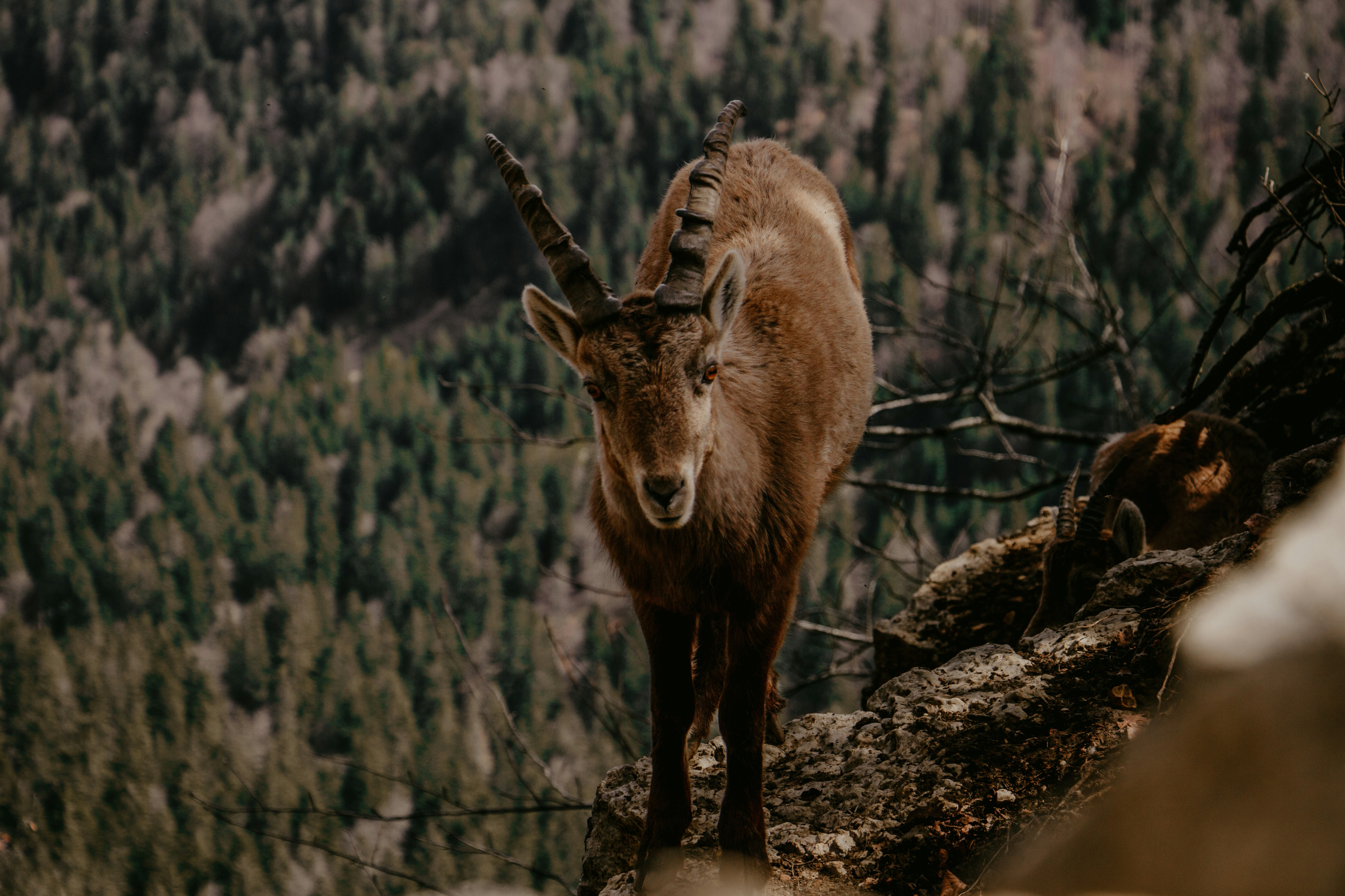 Photo by leandra_niederhauser