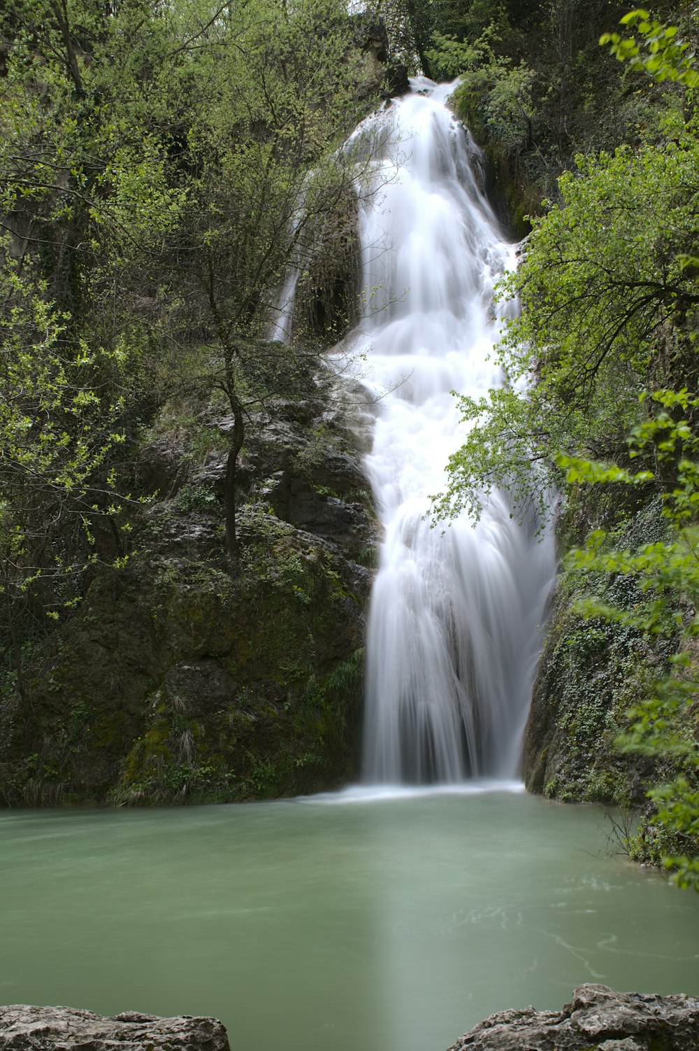 a waterfall in a forest