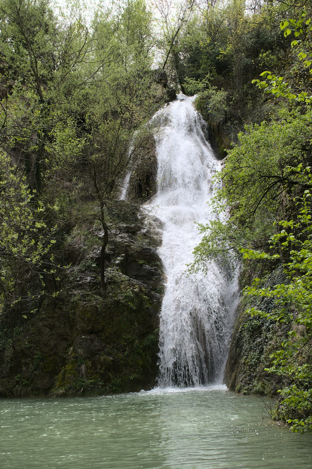 a waterfall in a forest