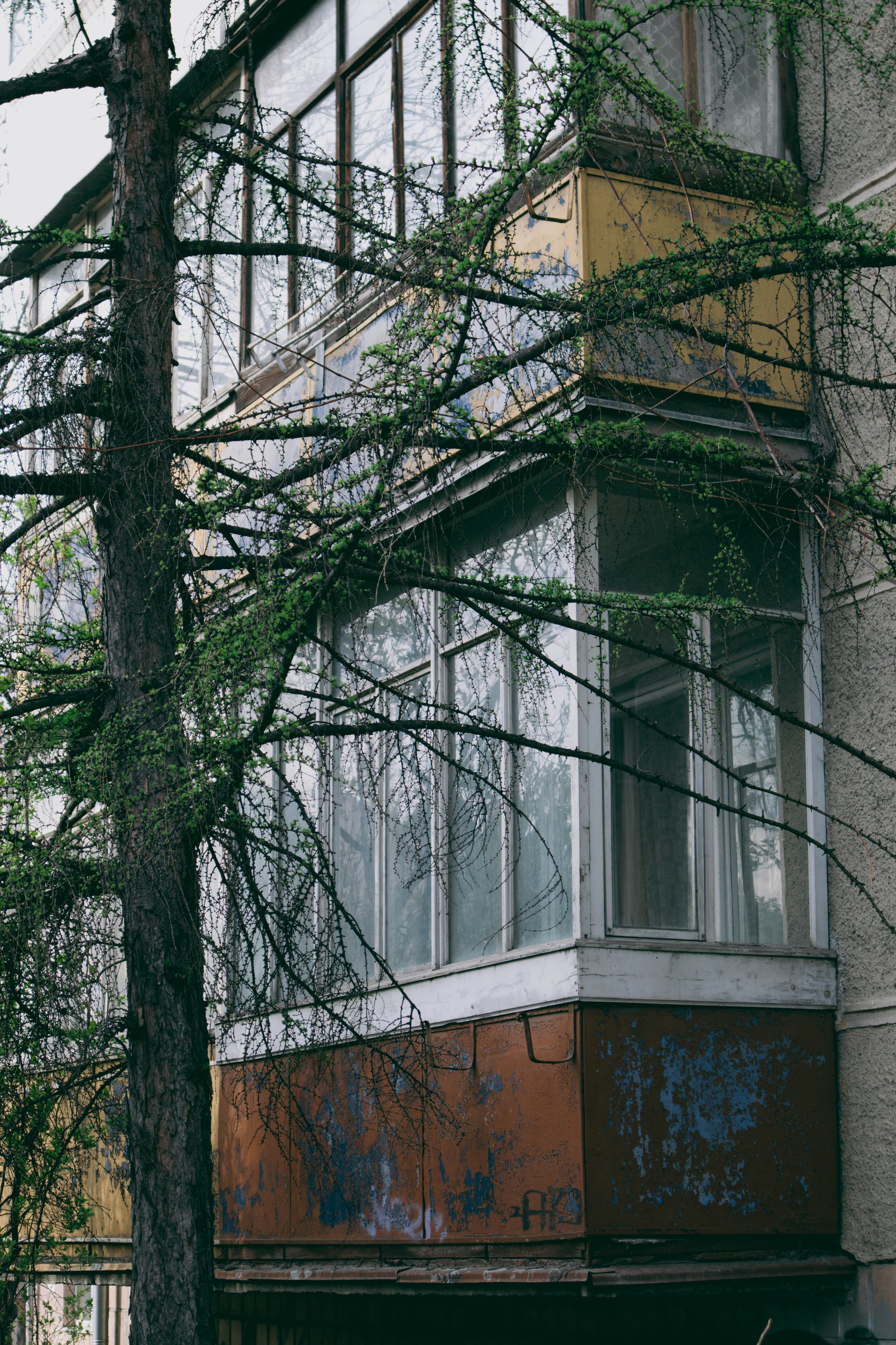 Photo by taraschuiko