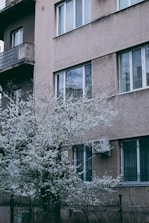 A residential building facade with multiple windows and balconies, accompanied by a blossoming tree with white flowers in the foreground. The building has a rough, beige exterior and features an air conditioning unit mounted next to one of the windows.
