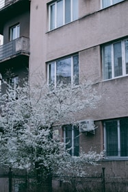 A residential building facade with multiple windows and balconies, accompanied by a blossoming tree with white flowers in the foreground. The building has a rough, beige exterior and features an air conditioning unit mounted next to one of the windows.