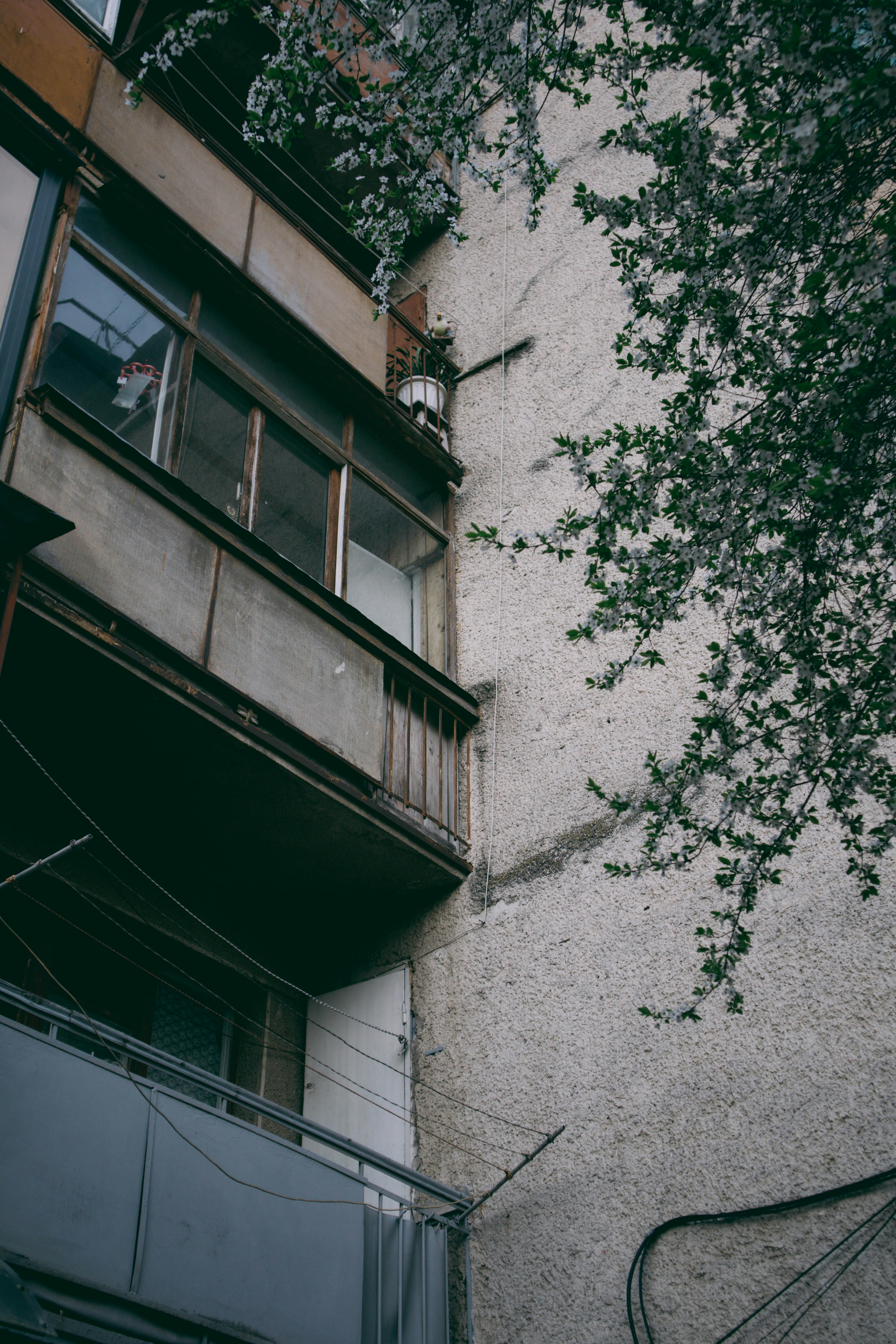 Photo by taraschuiko