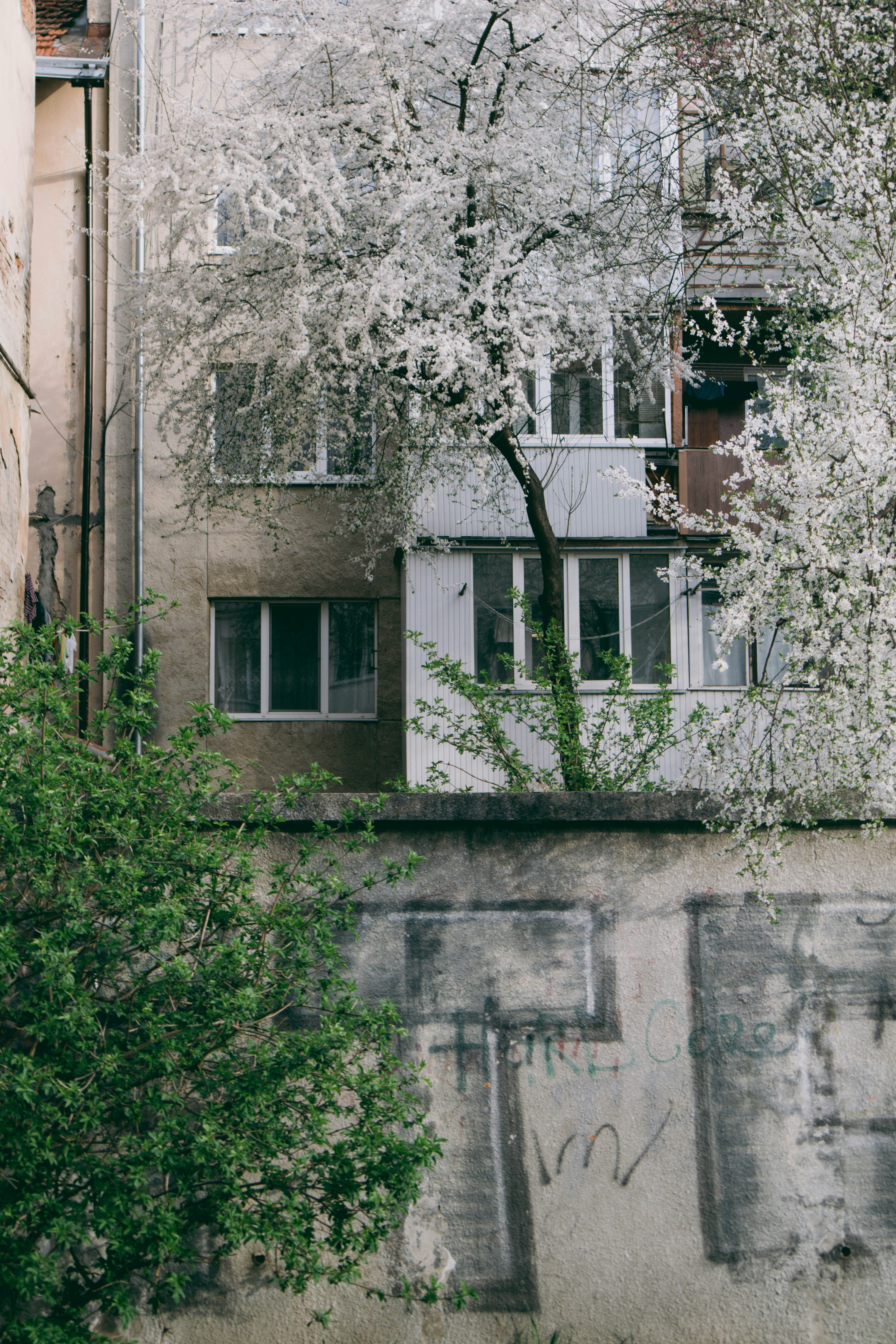 Photo by taraschuiko