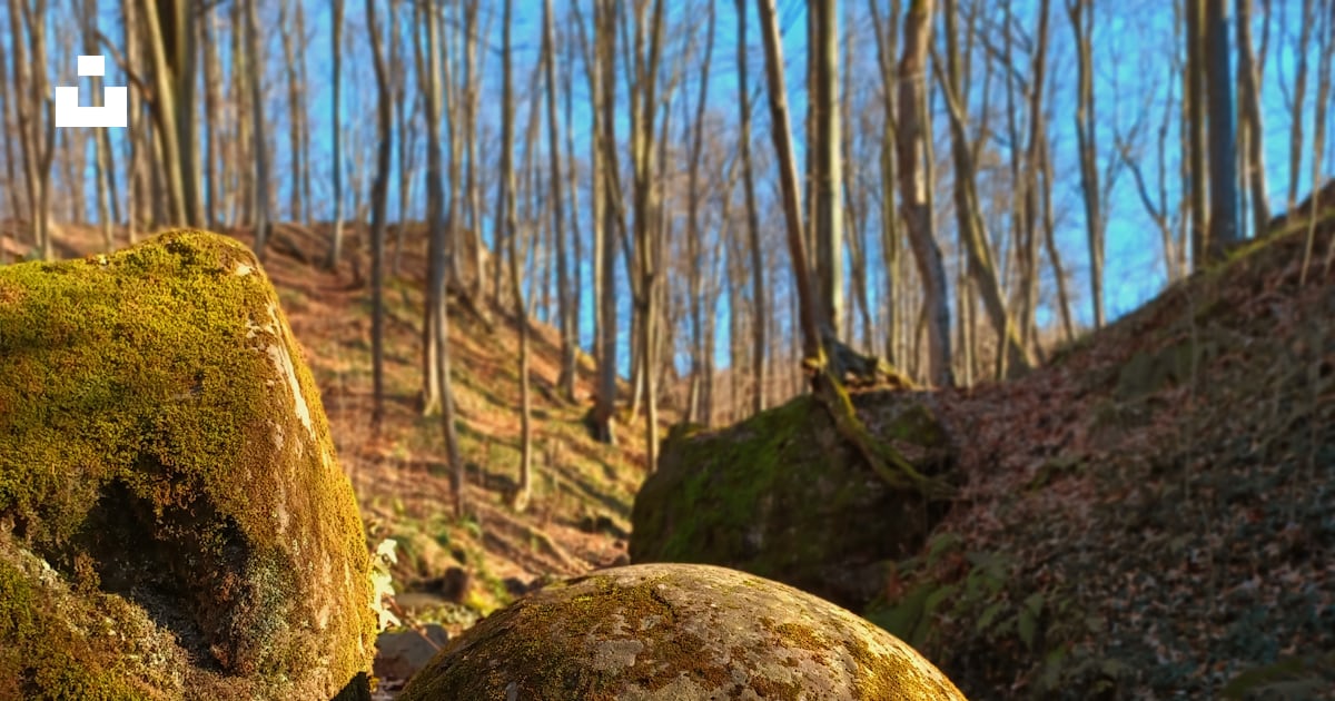 A group of large rocks in a forest photo – Free Bosnia and herzegovina ...