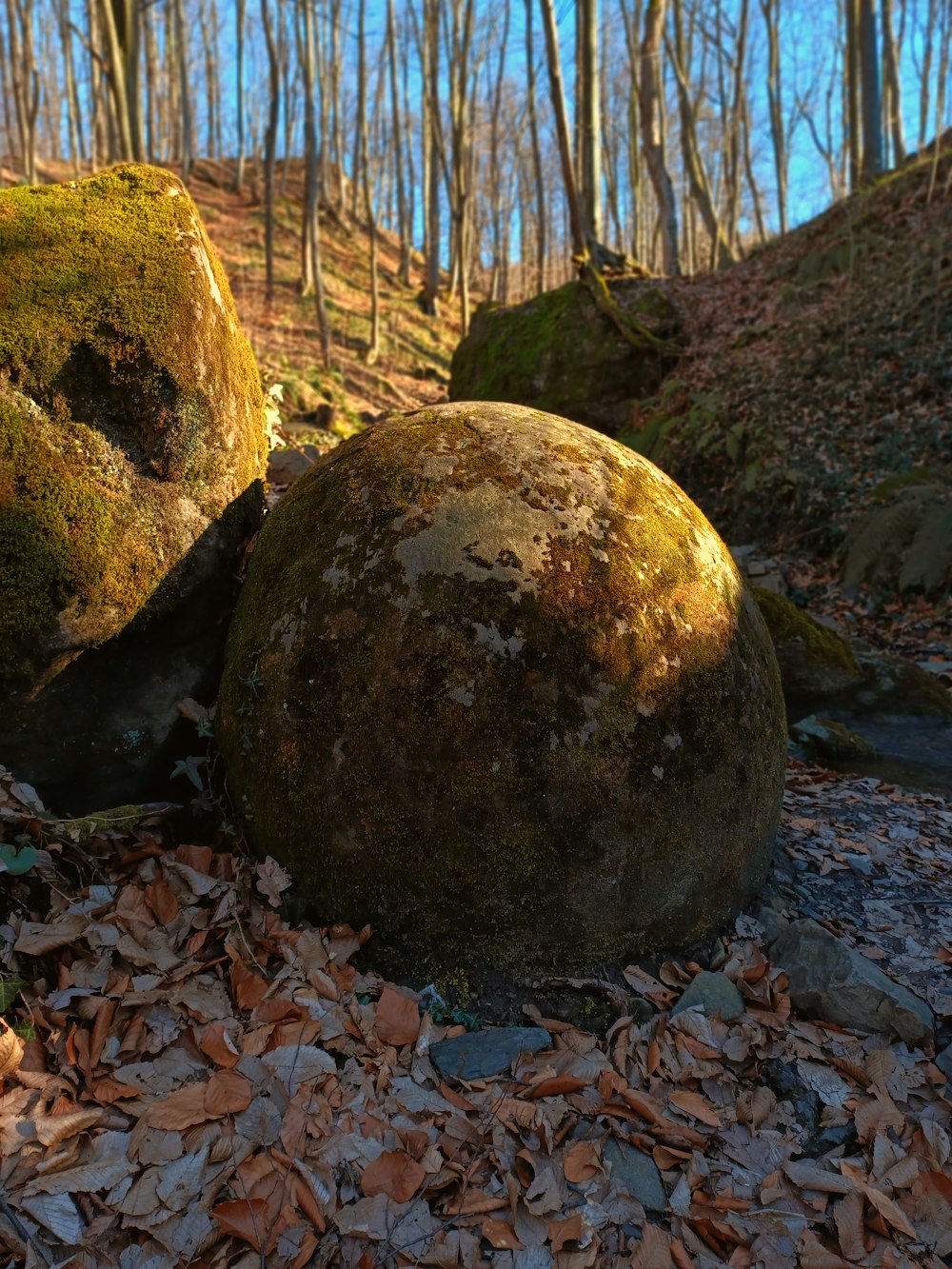 a group of large rocks in a forest