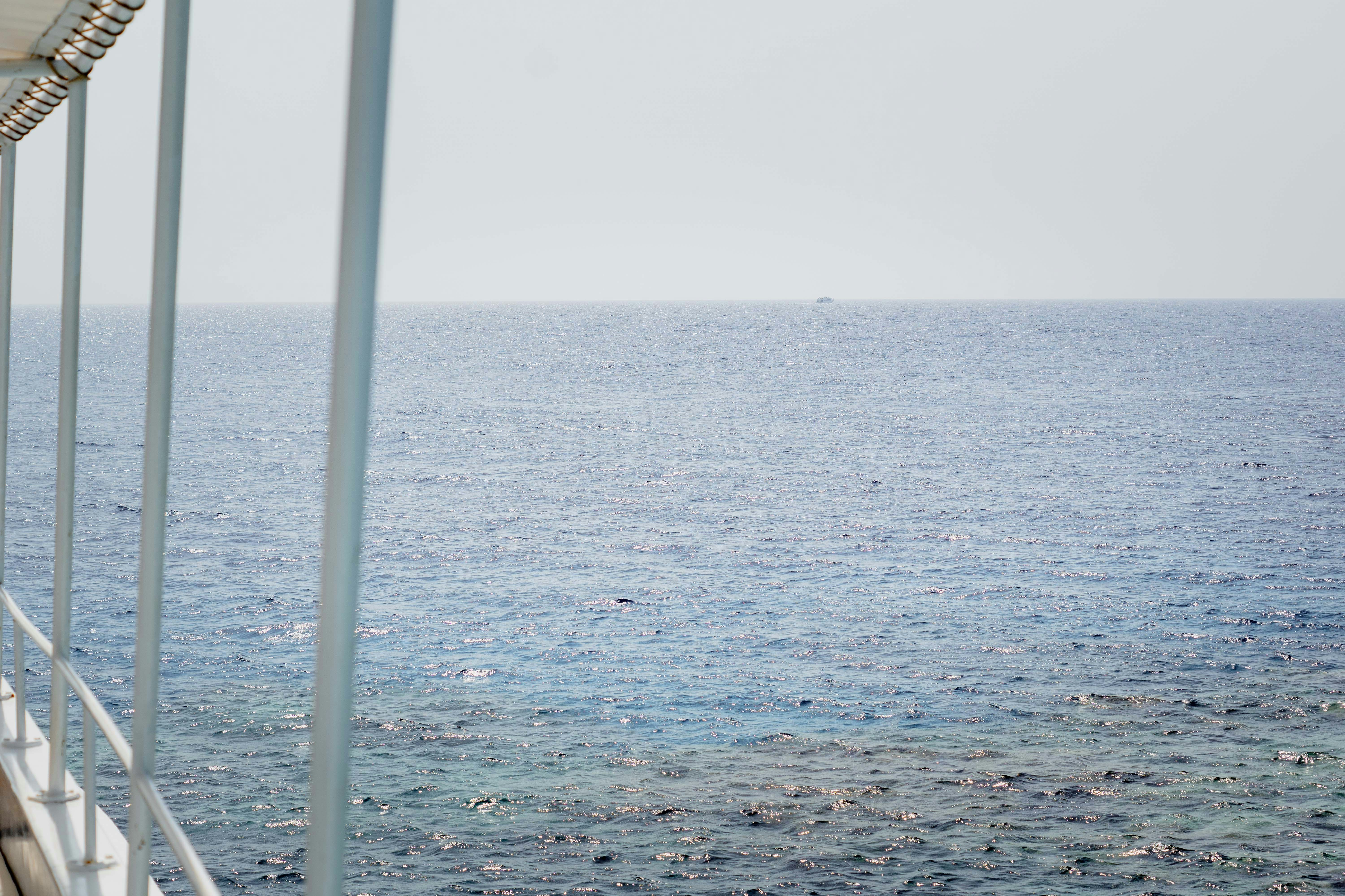 Photo by jbonunsplash