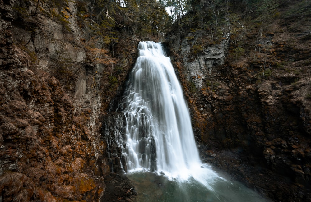 a waterfall in a forest