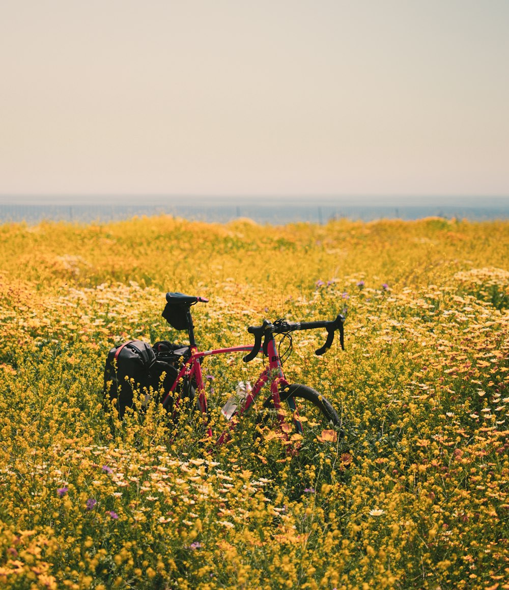 a bicycle in a field