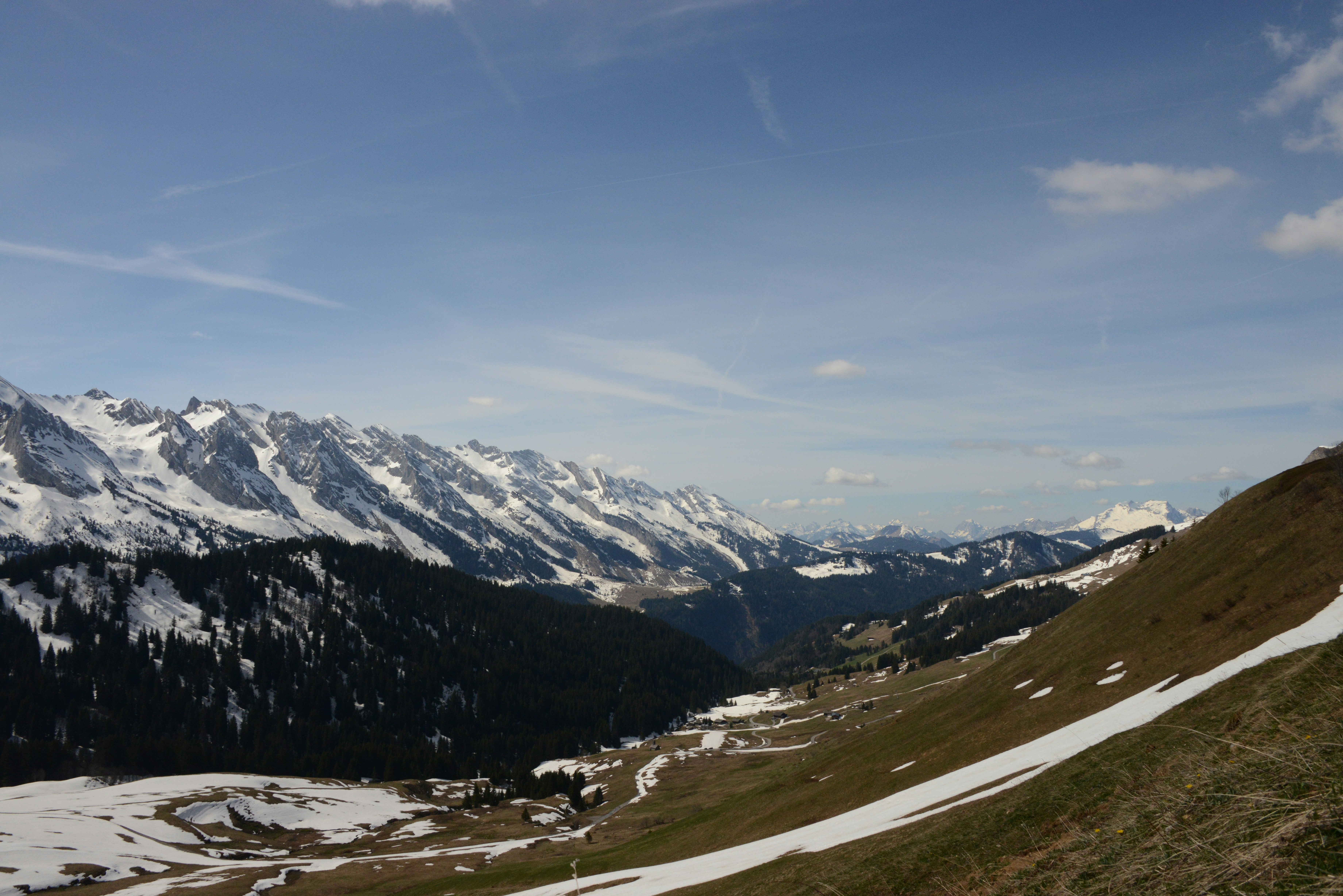 Photo by colfra