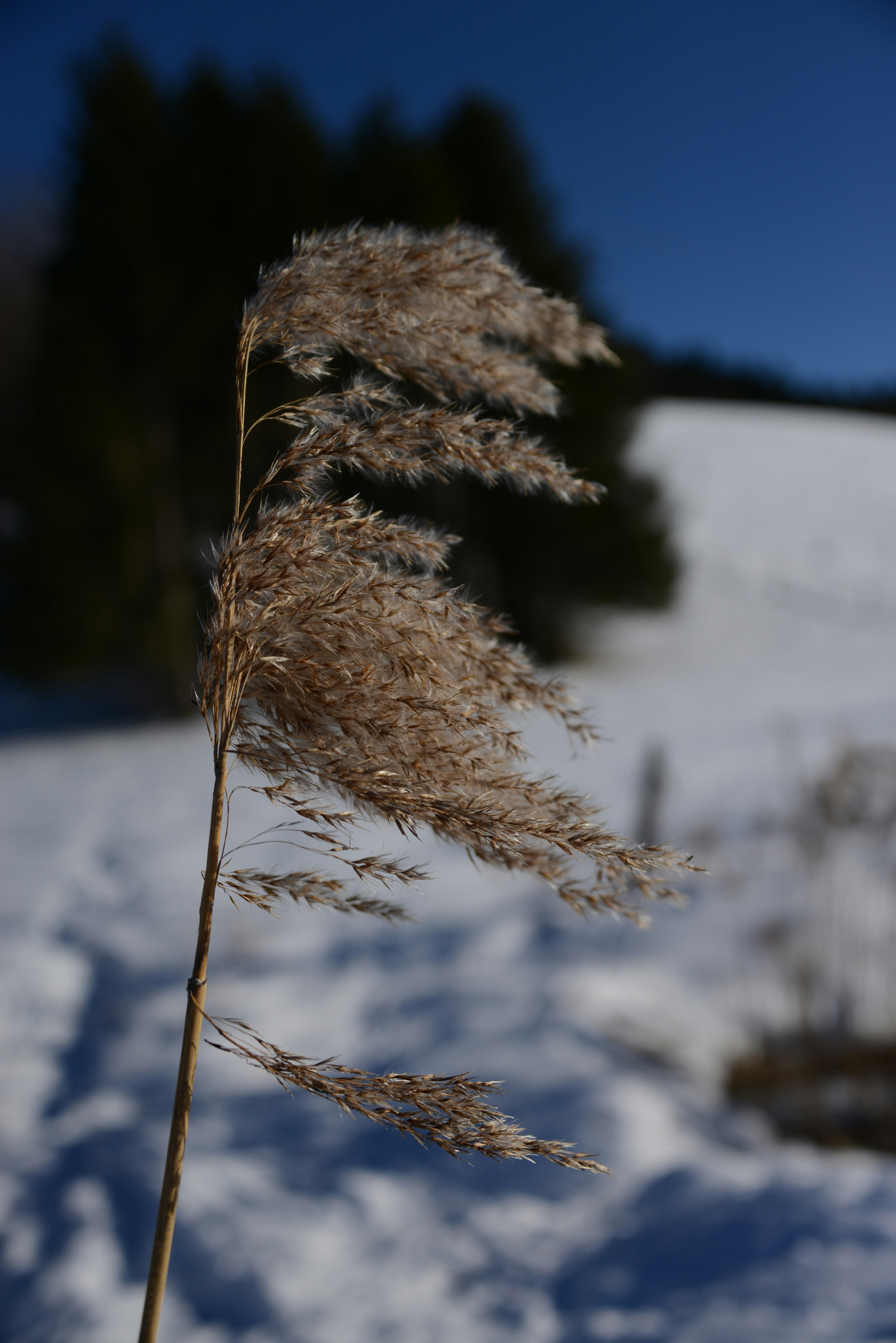 뉴발란스 윈터브리즈 선착순 관련 이미지1