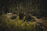 A small house is nestled among dense, lush green trees in a mountainous landscape. The scene is peaceful and serene, with an abundance of greenery surrounding the house. A structure resembling a stupa is also visible in the foreground, adding a cultural element to the setting.